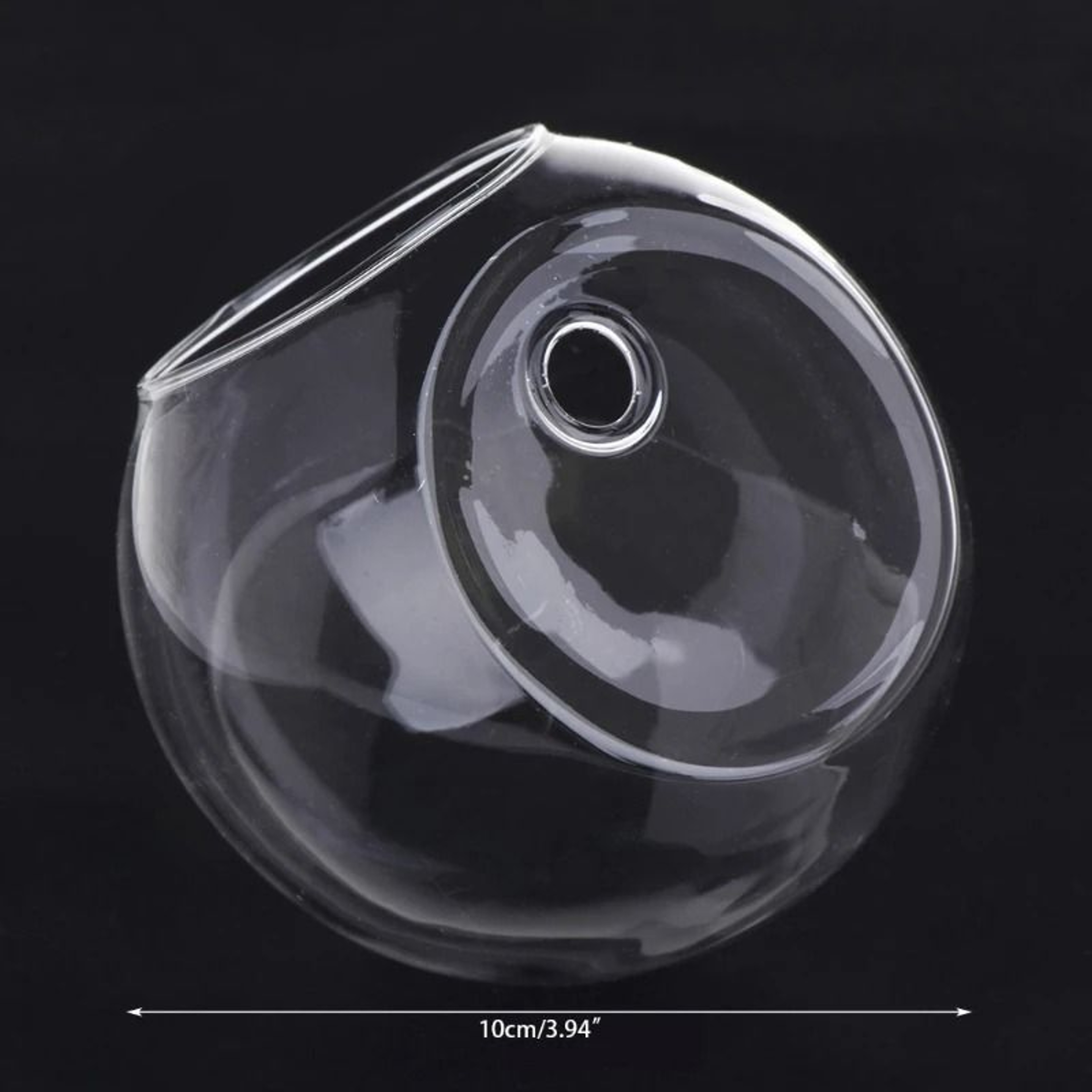 Wall Hanging Glass Hydroponic Terrarium And Fish Tank 9