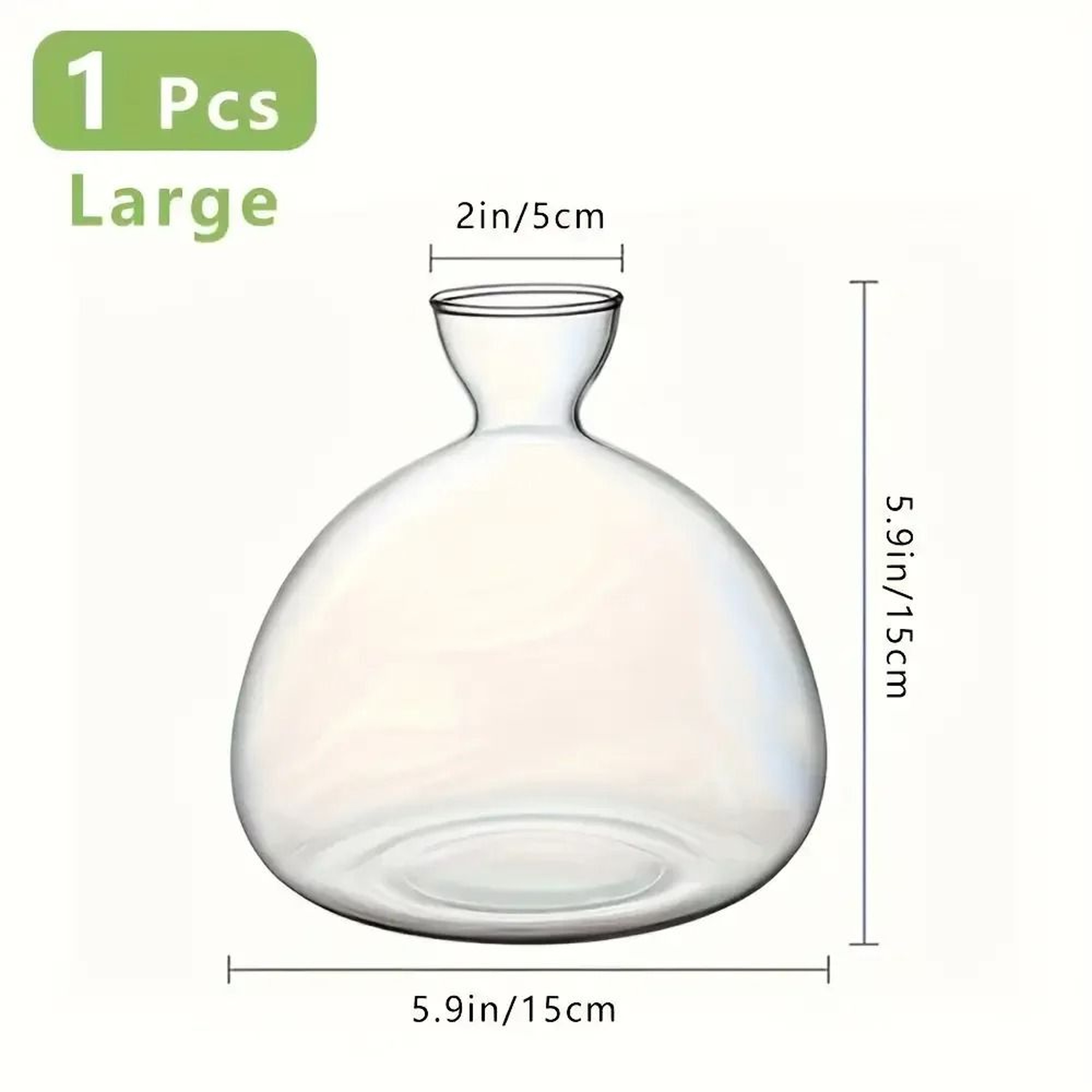 Avocado Seed Starter Glass Bulb Vase 7