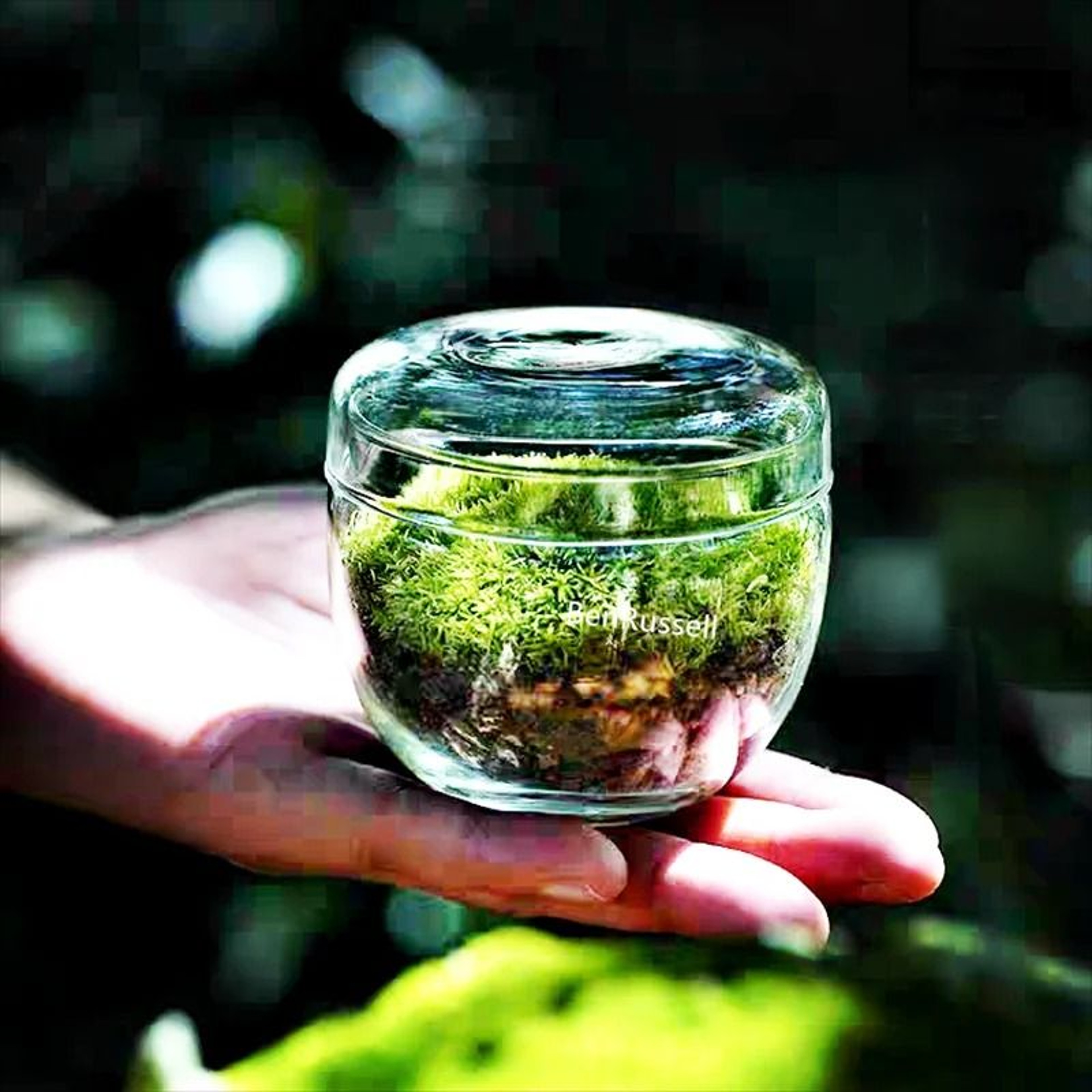 Micro Landscape Moss Glass Terrarium Bottles 1