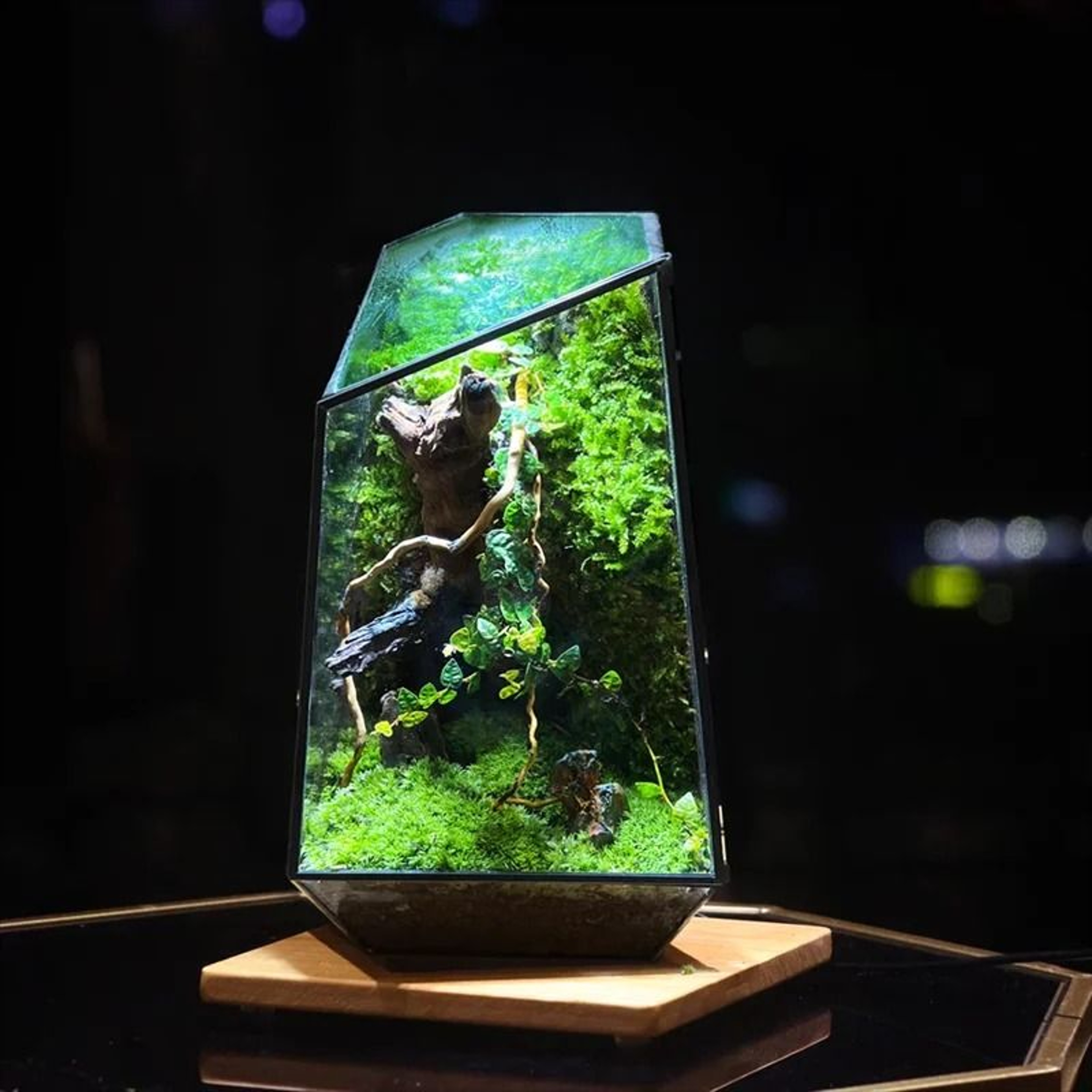 Quartz Shape Micro Landscape Glass Terrarium 4