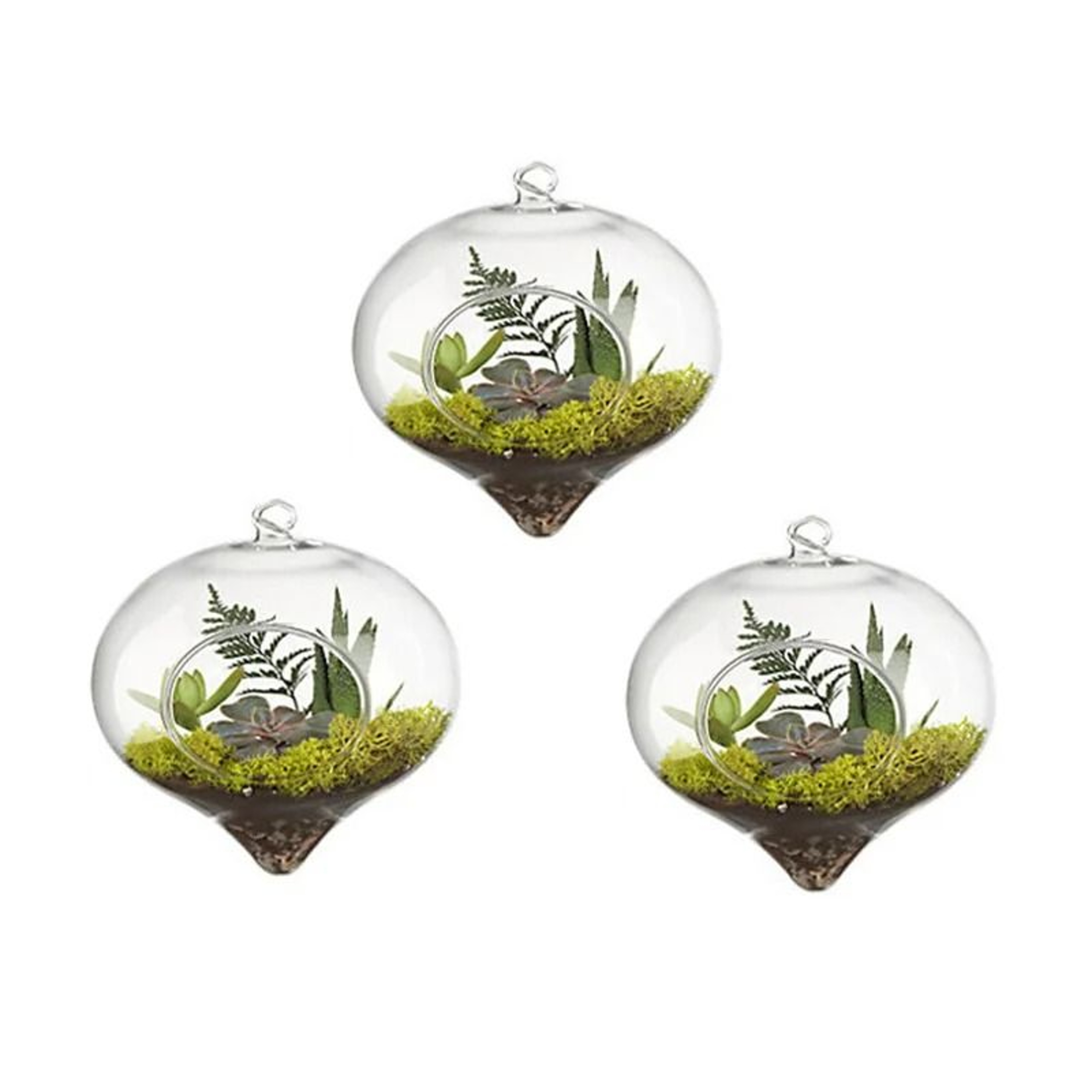Terrarium Glass Ball Hanging Flower Vase 5