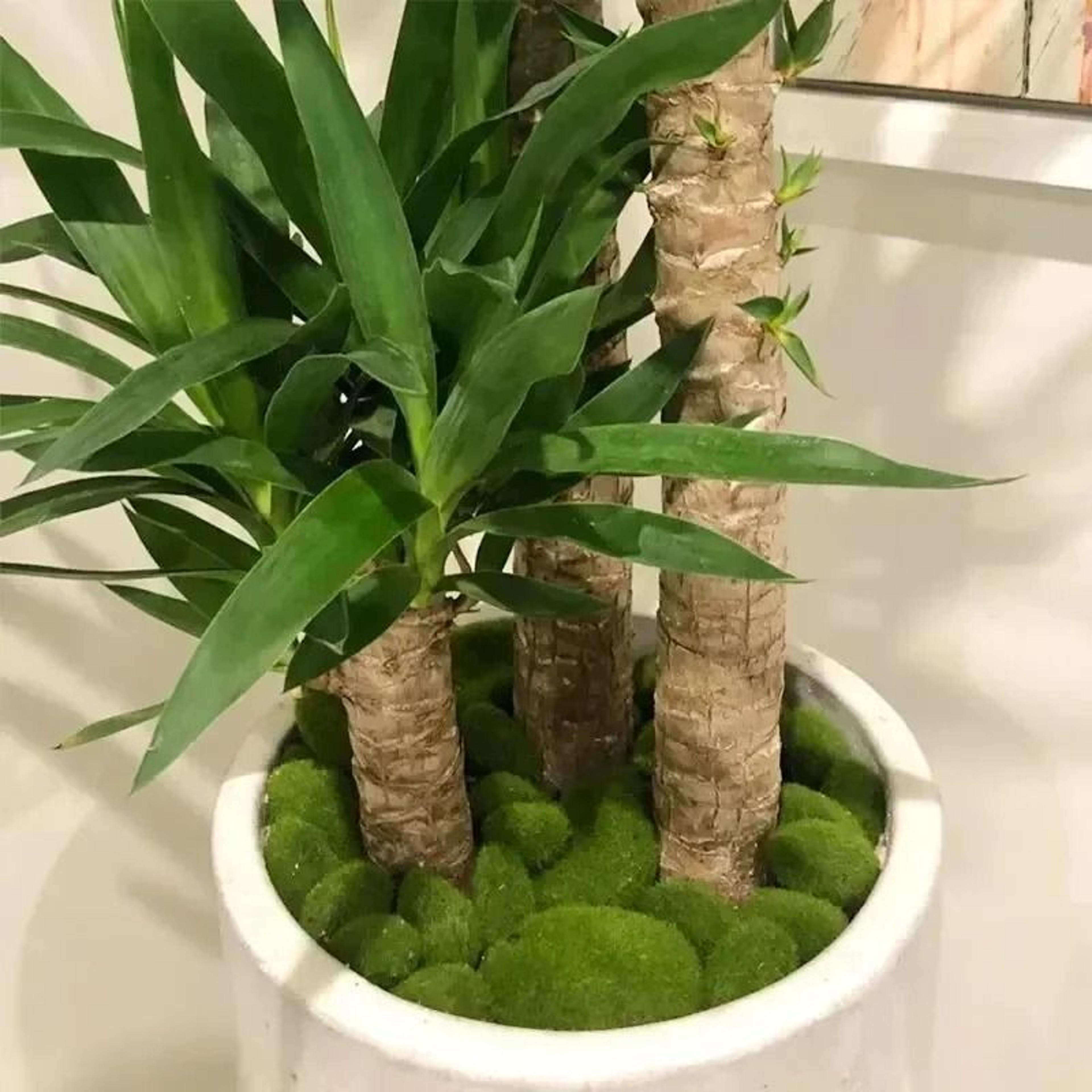 10Piece Artificial Moss Stone Set  Versatile Garden  Home Decor 2