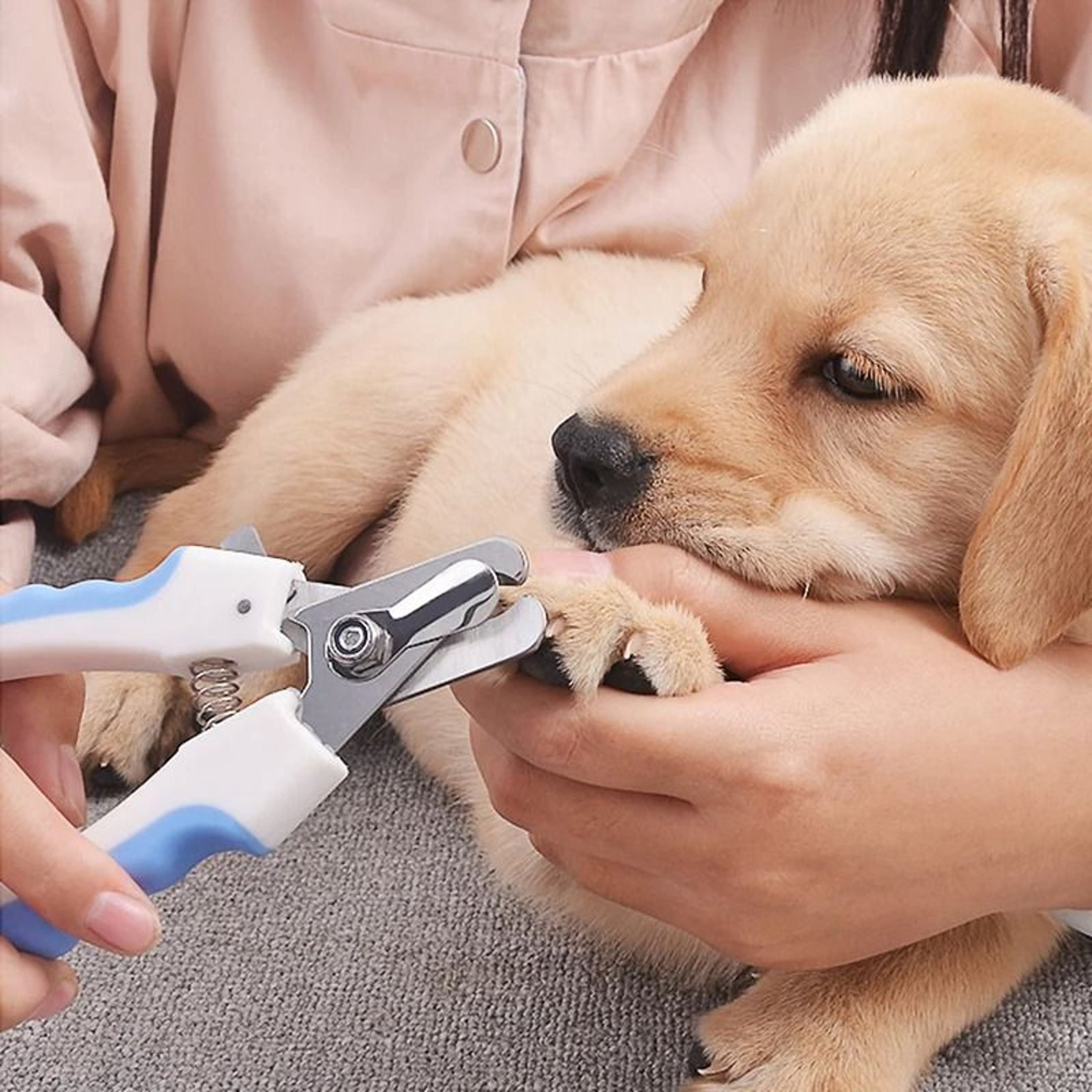 Pet Nail Clipper Grooming Scissors 0