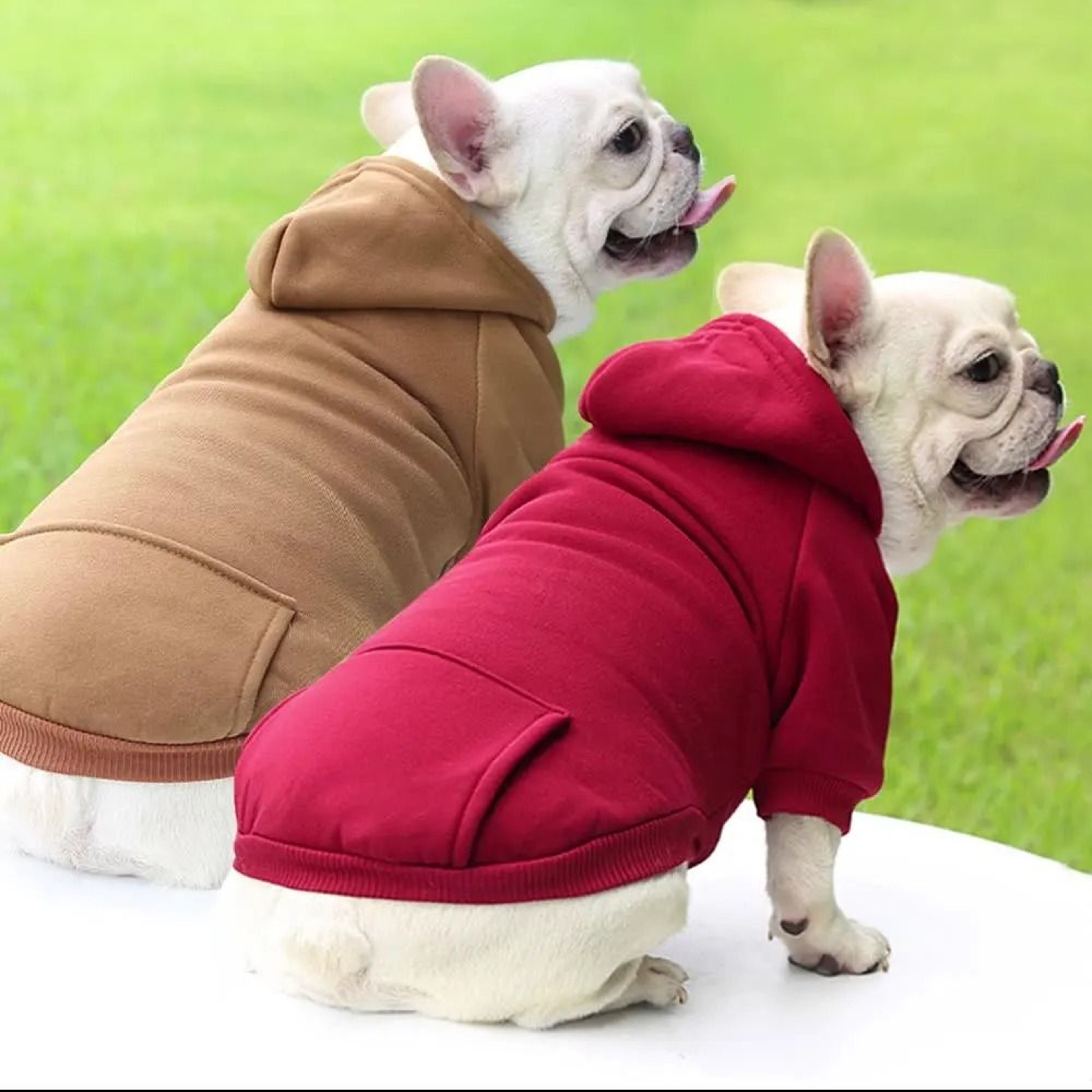 Pet Dog Hoodies 0