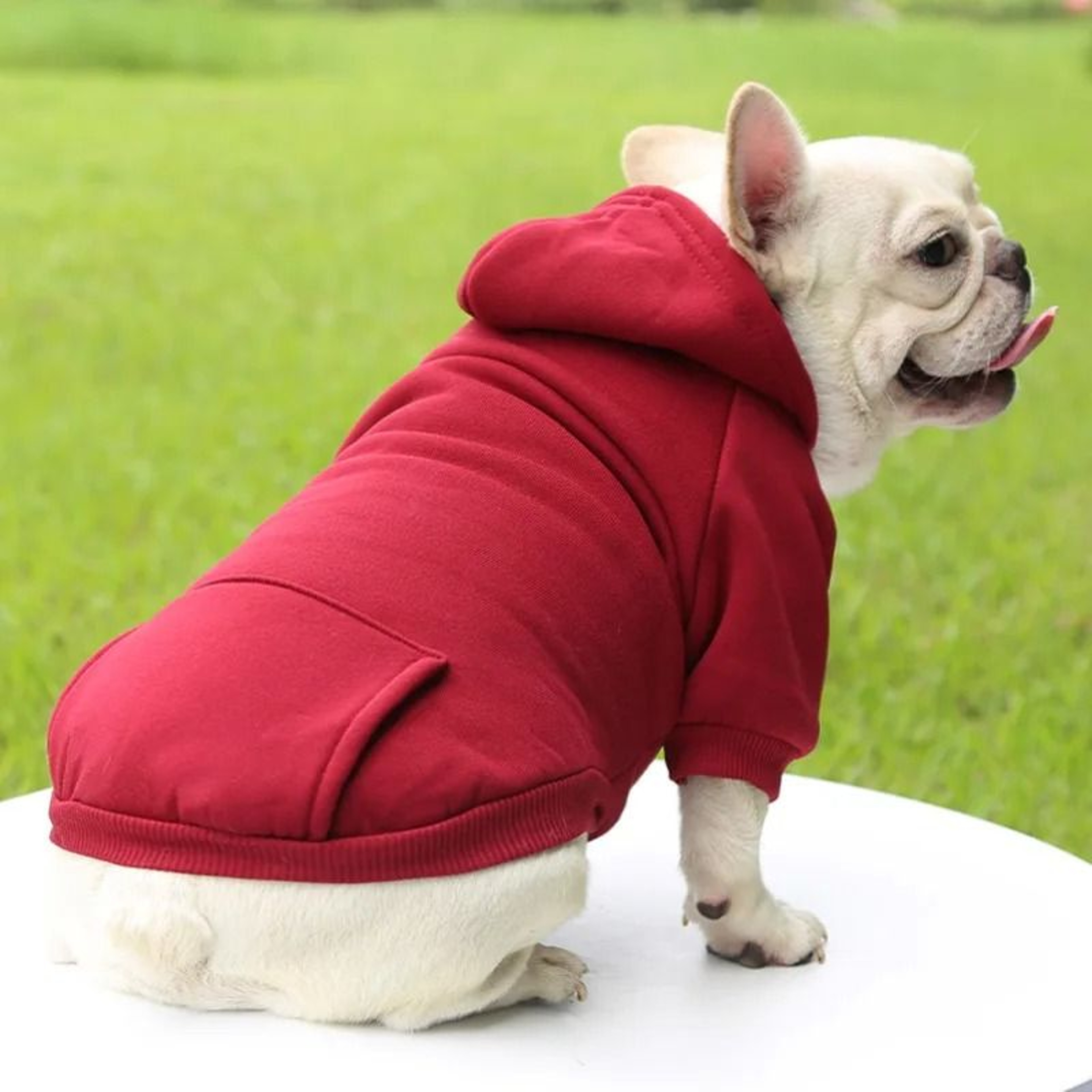 Pet Dog Hoodies 2