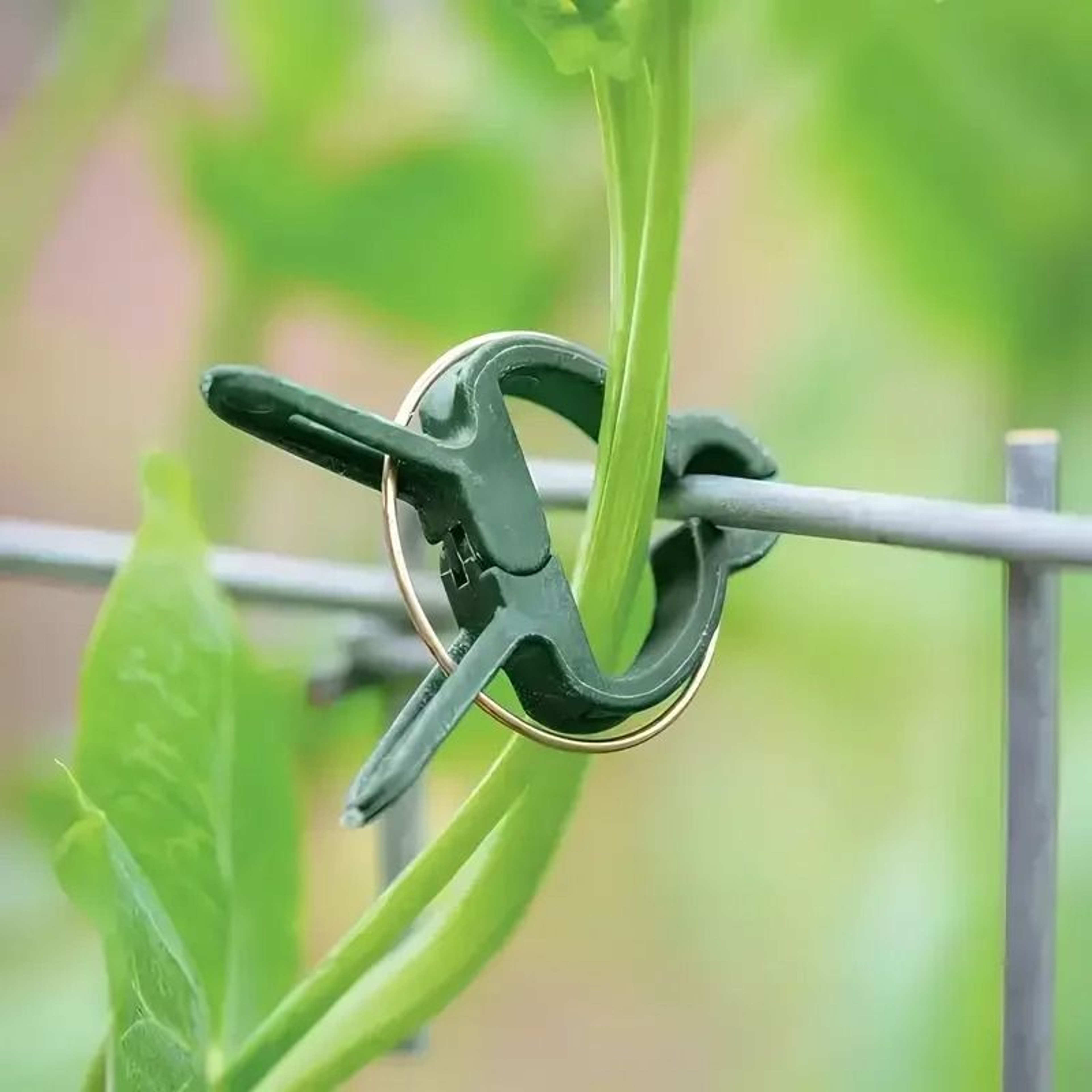 20pcs Adjustable Plant Clips  Reusable Garden Supports For Vines Tomatoes  Flowers 2