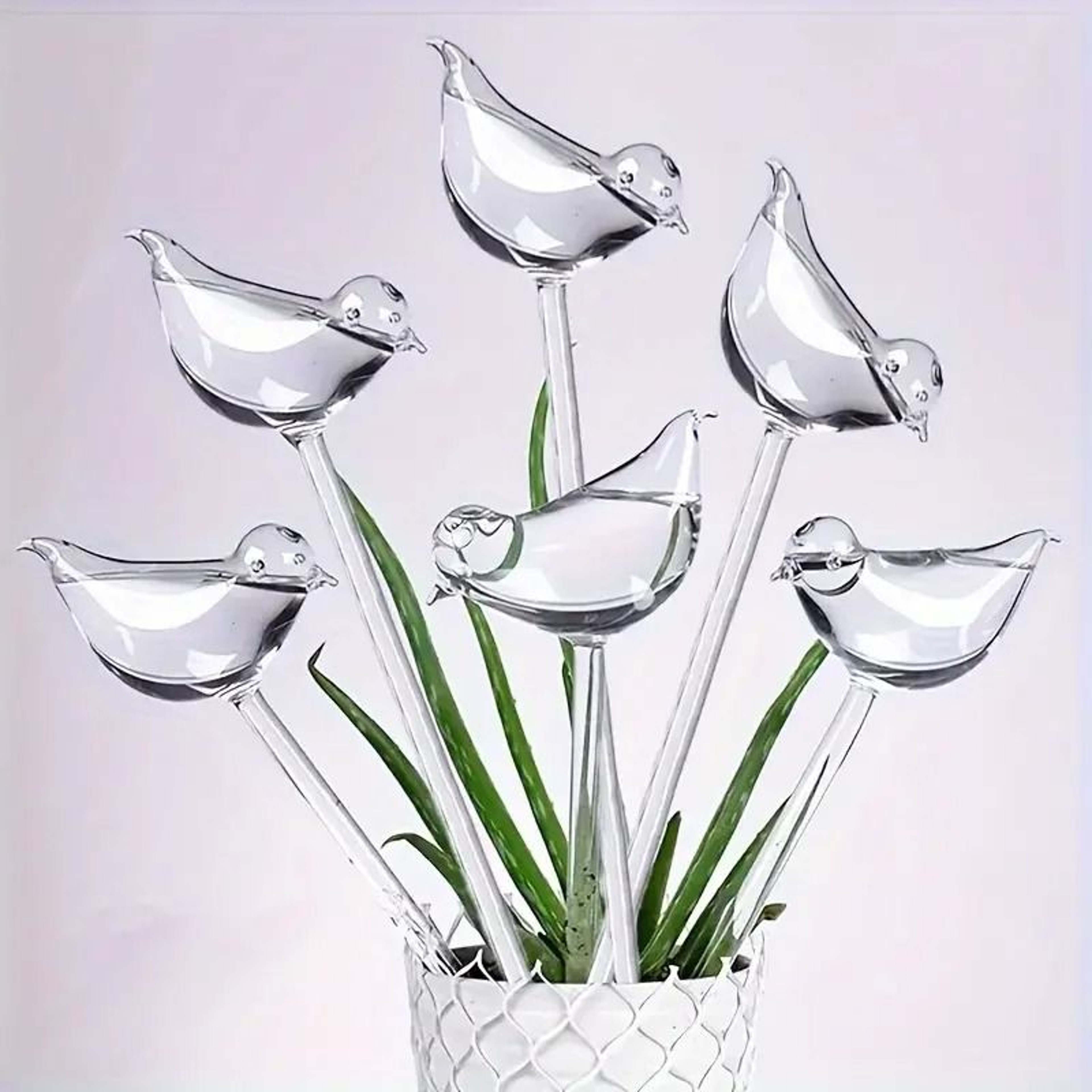 SelfWatering Bird Globes  Automatic Plant Hydration For Indoor  Outdoor Greenery 0