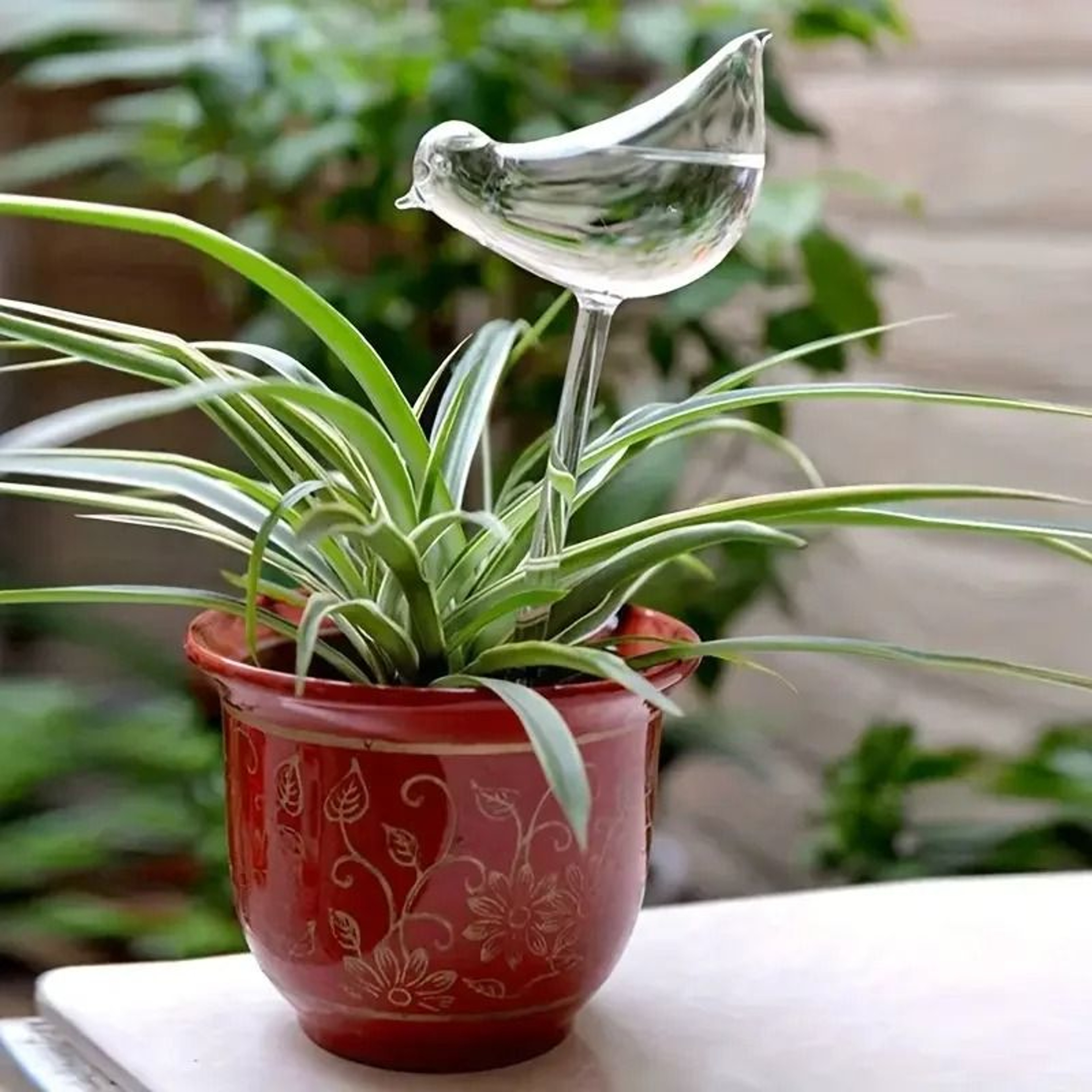 SelfWatering Bird Globes  Automatic Plant Hydration For Indoor  Outdoor Greenery 4
