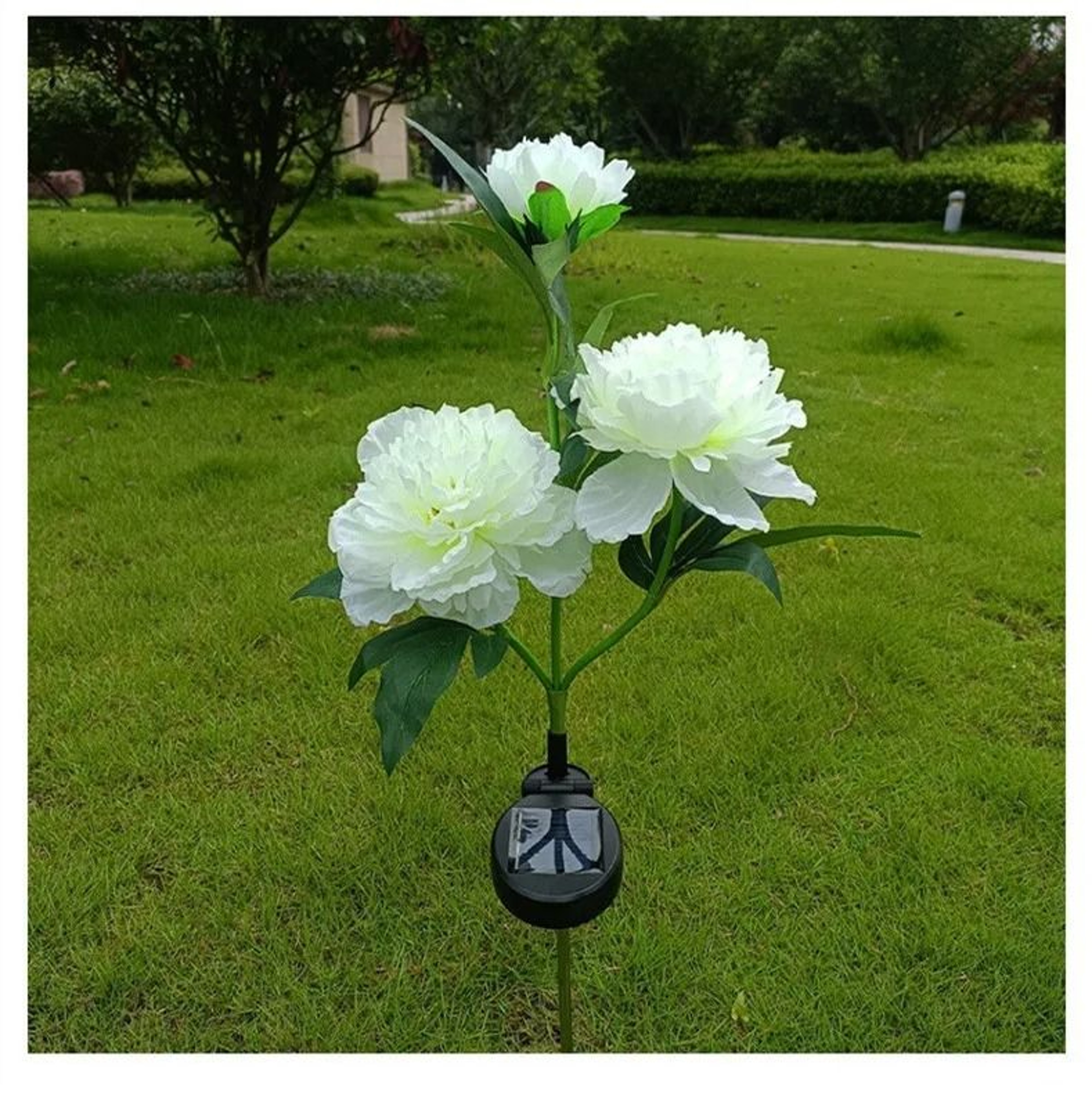 Solar Peony Garden Lights  3Head Waterproof Outdoor Pathway Decor 7