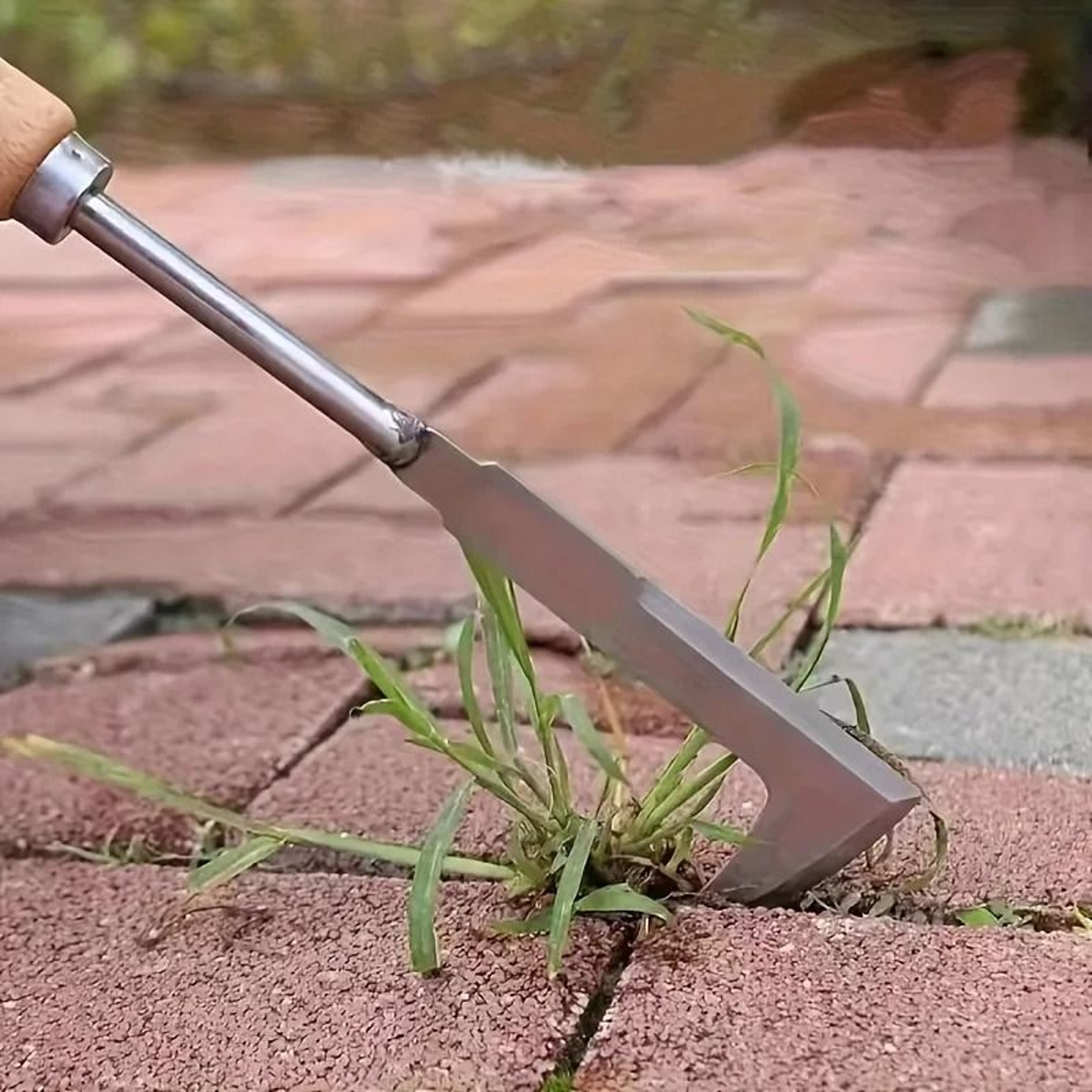 Stainless Steel MultiPurpose Weeding Tool  Precision Hand Tool For Gardening  Foraging 6