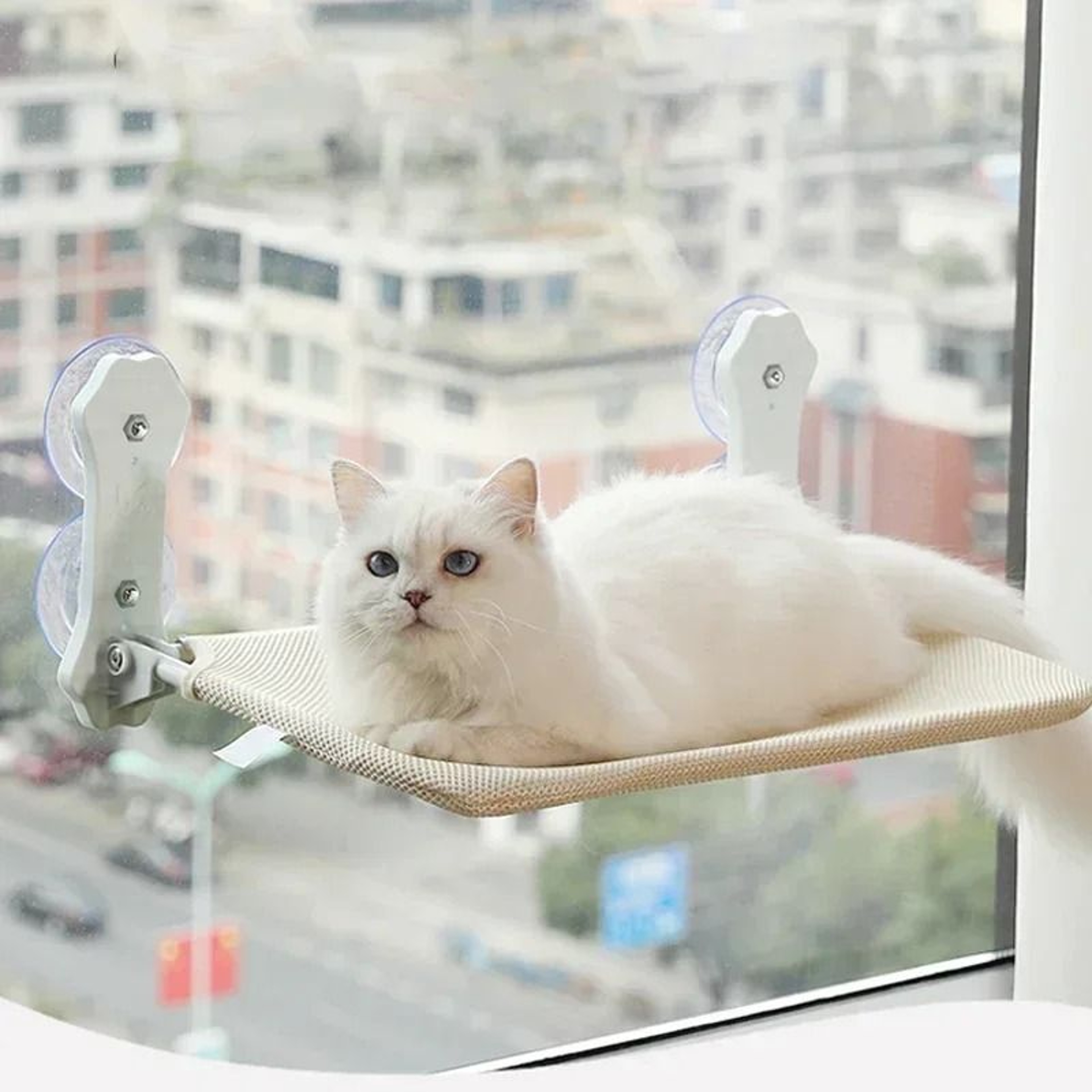 HighPerformance Suction Cup Cat Hammock 0