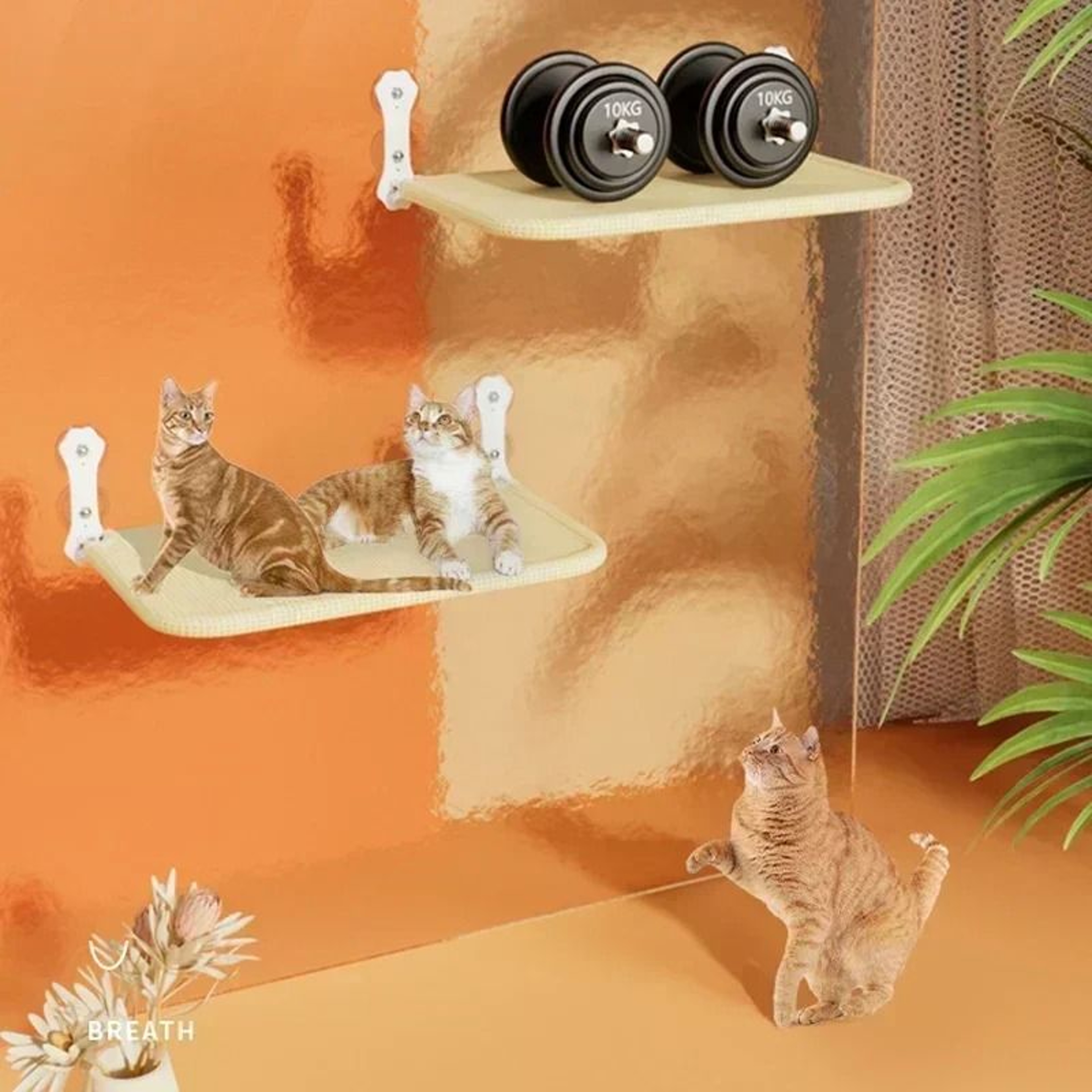 HighPerformance Suction Cup Cat Hammock 6