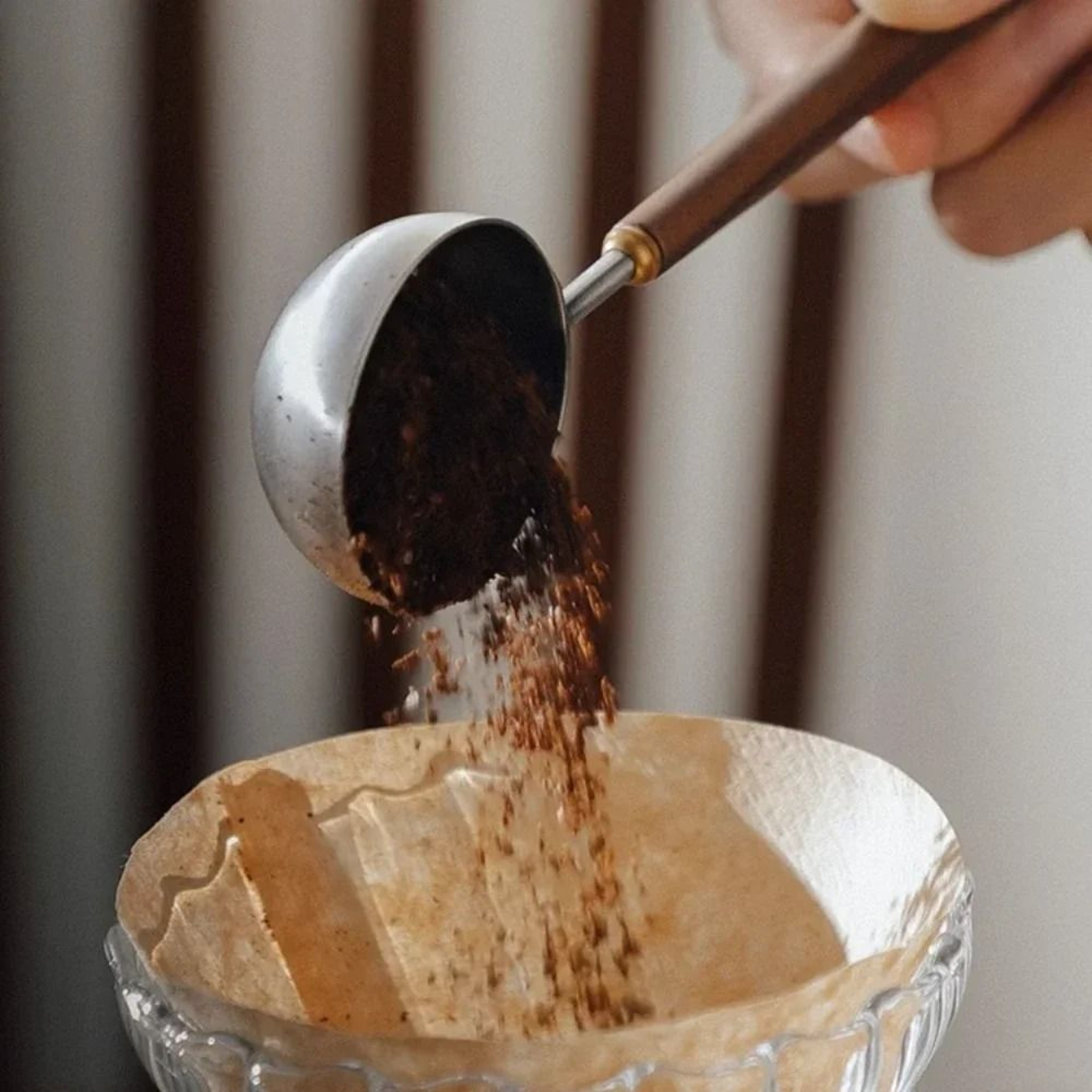 Walnut Handle Stainless Steel Coffee Scoop  Premium 25ml Measuring Spoon 3