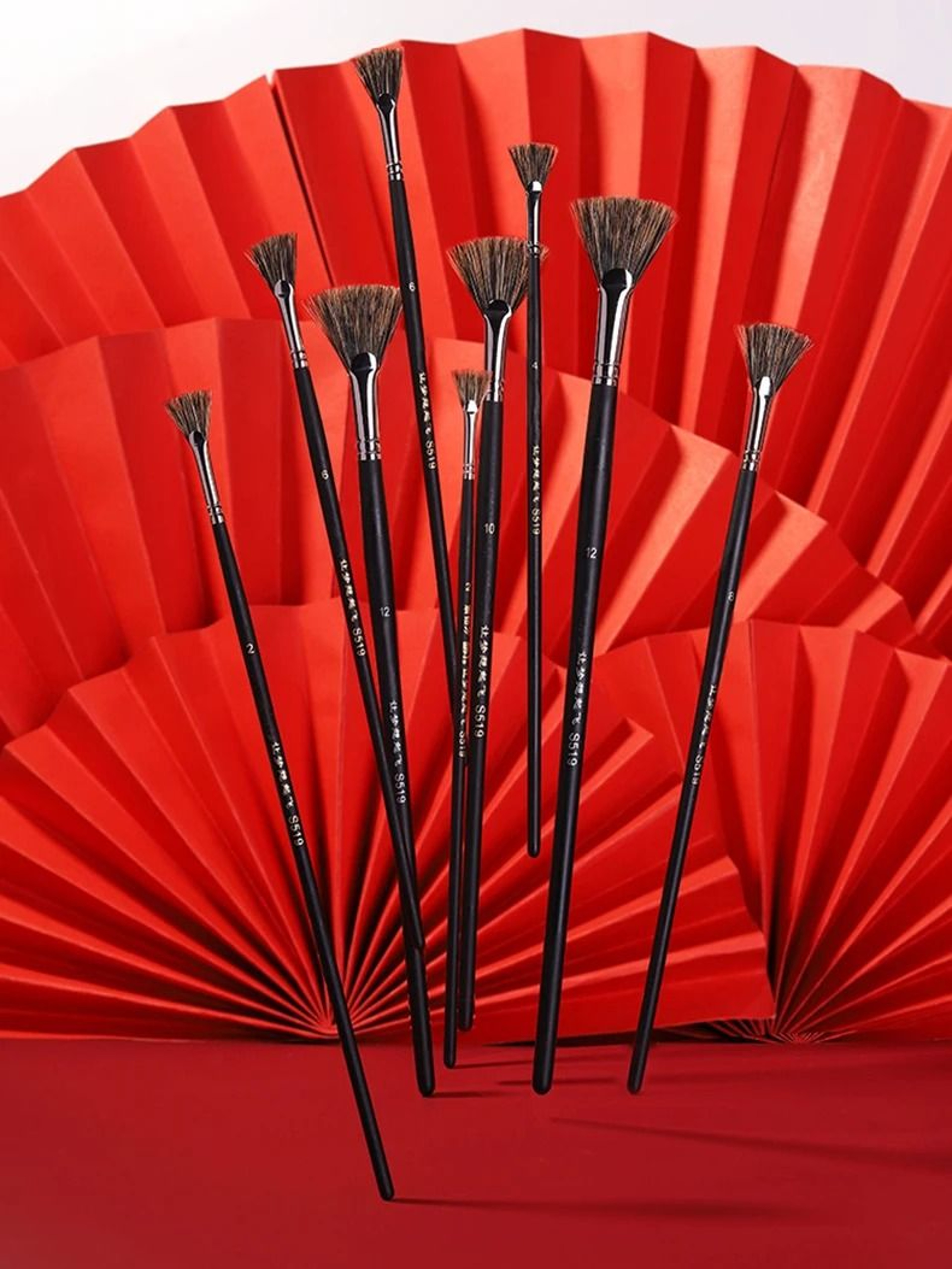 Wild Boar Bristle Fan Brush Set 5