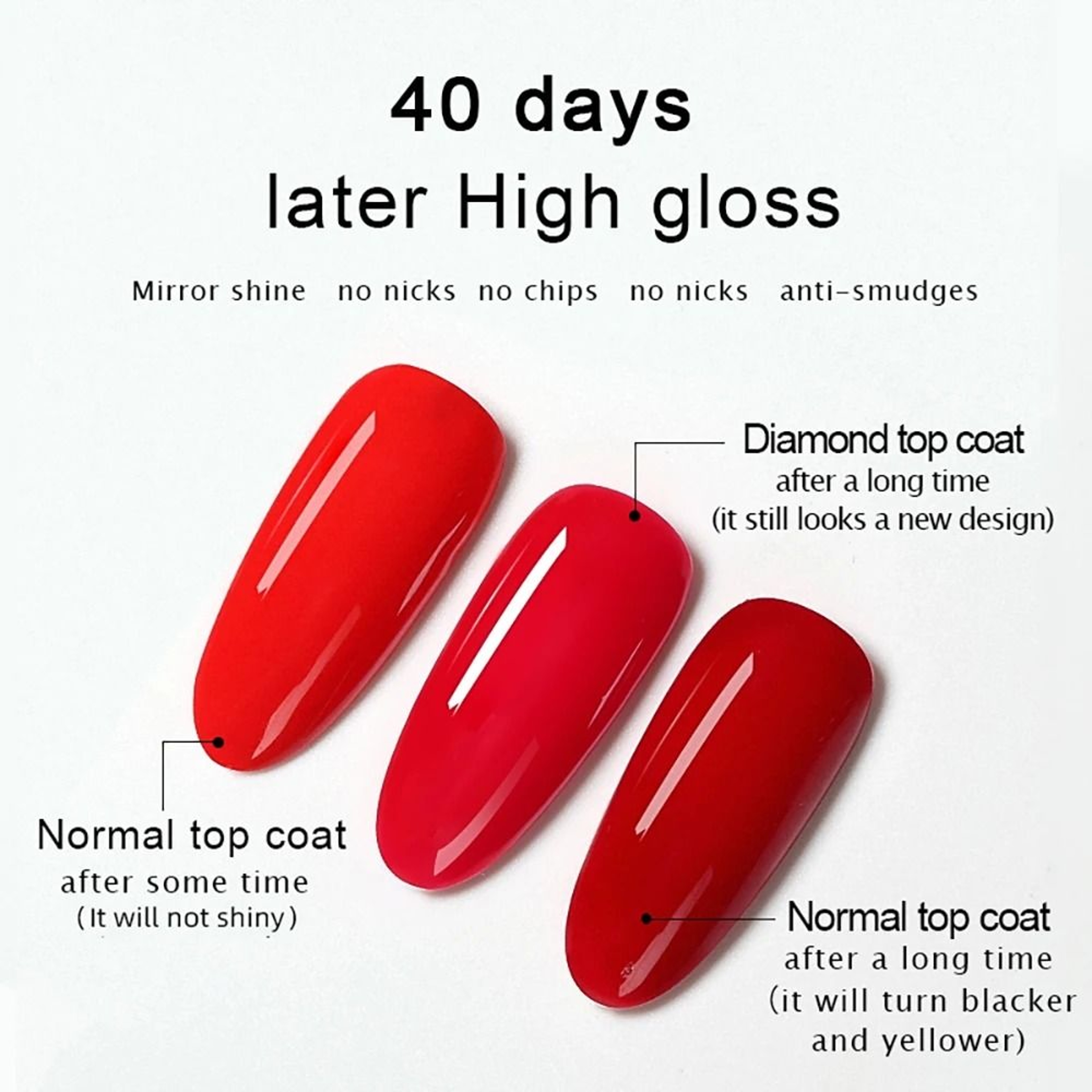 HighGloss Reinforcement Top Coat 3