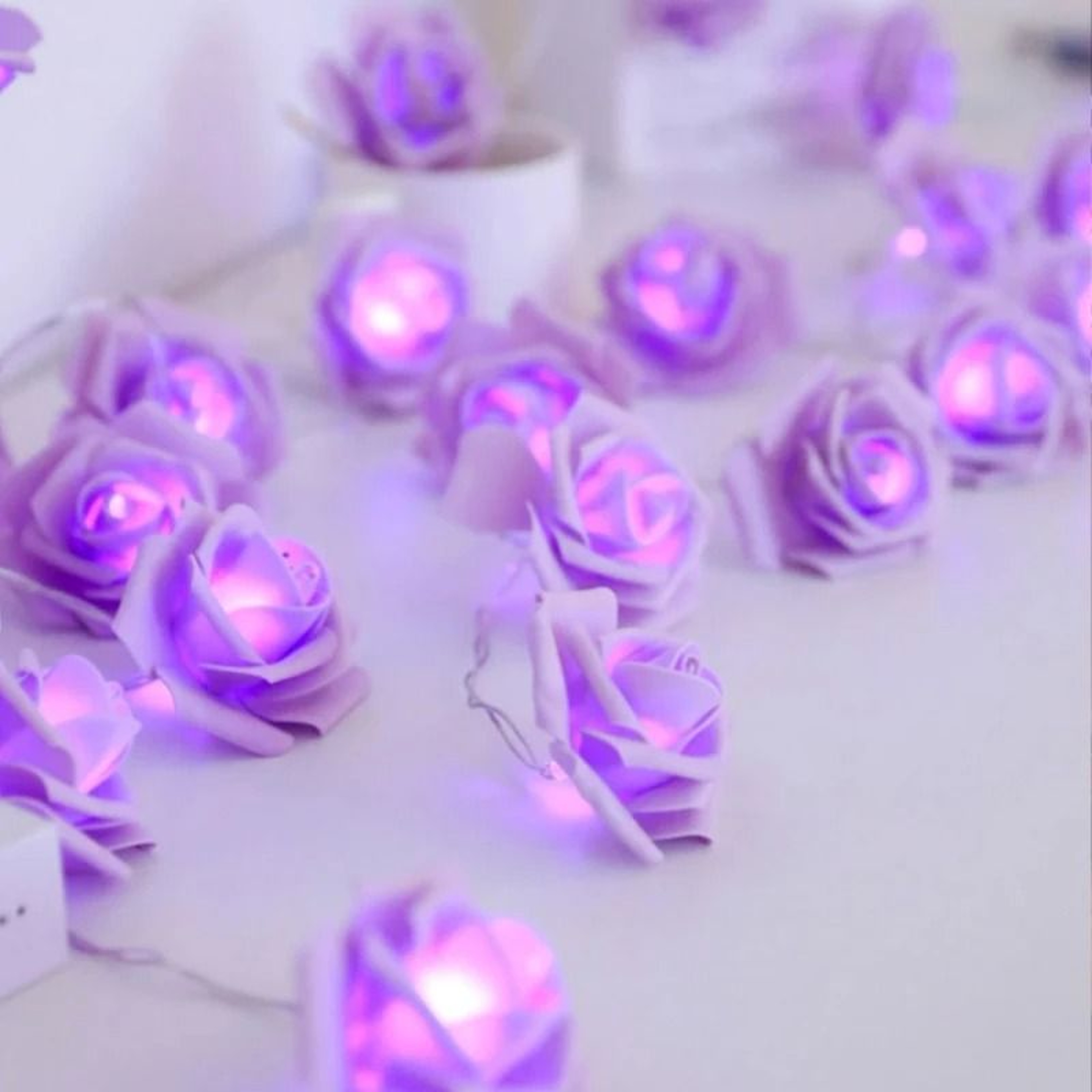 Velvet Petal Rose Fairy Strings 6