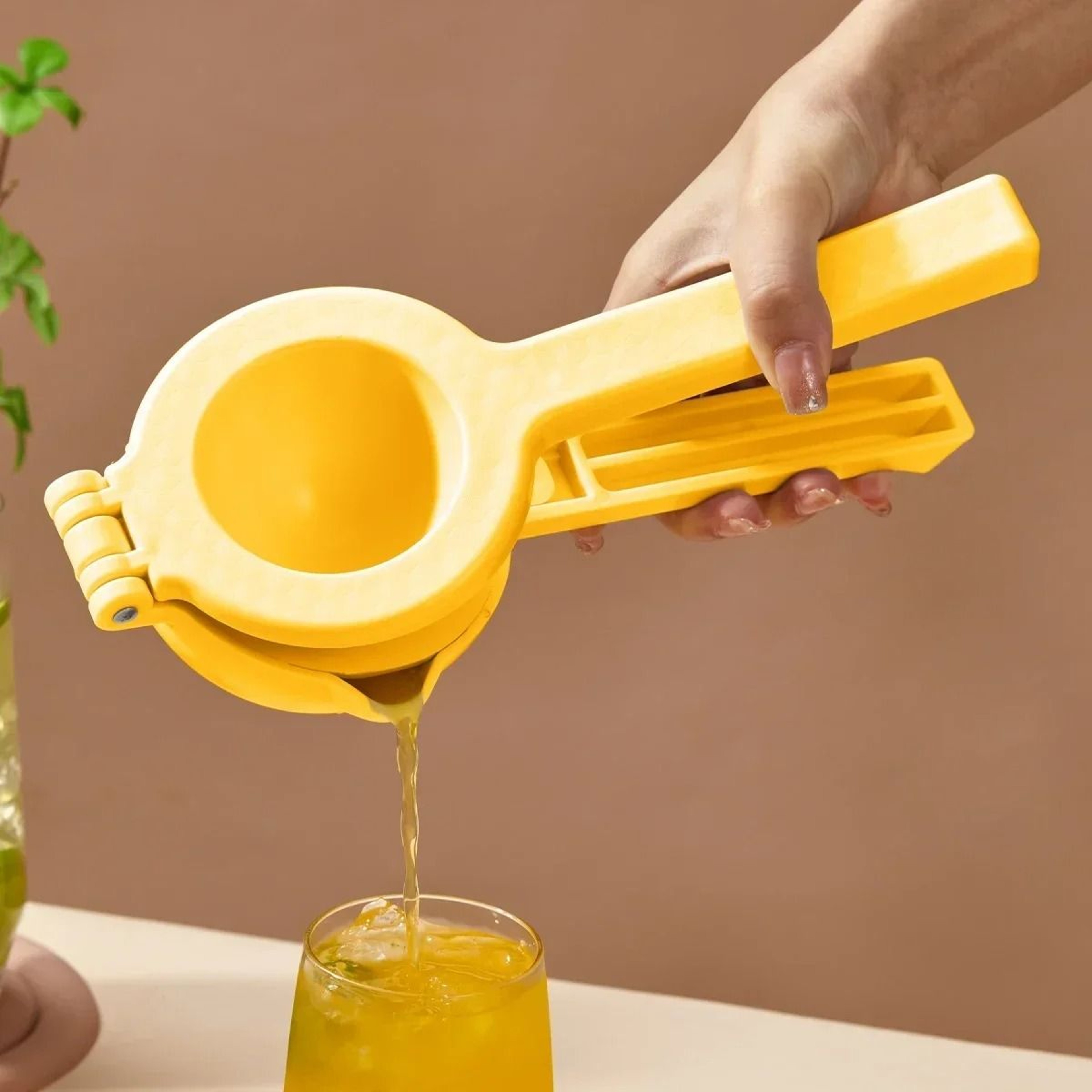 Manual Citrus Press And HeavyDuty Fruit Juicer 1