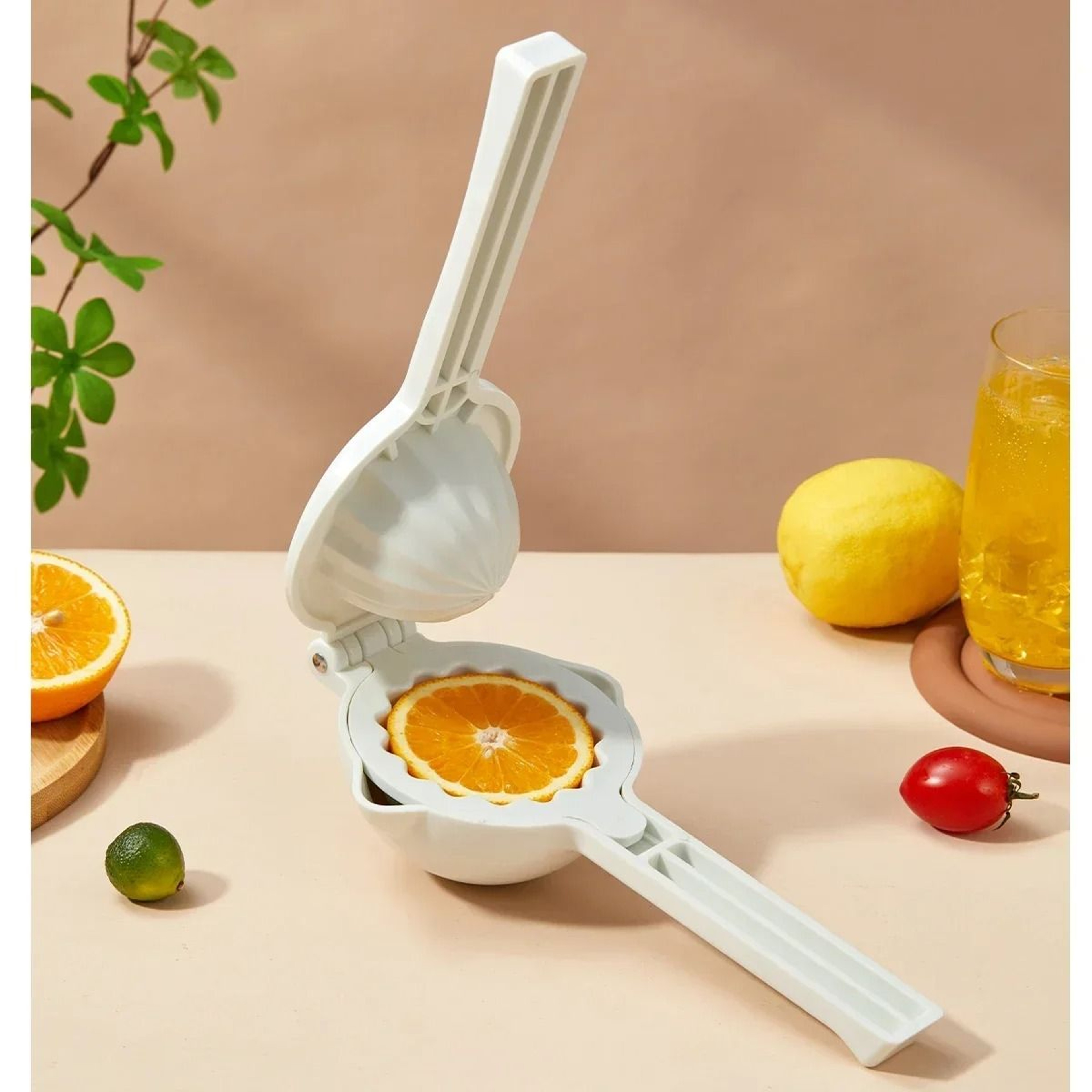 Manual Citrus Press And HeavyDuty Fruit Juicer 3