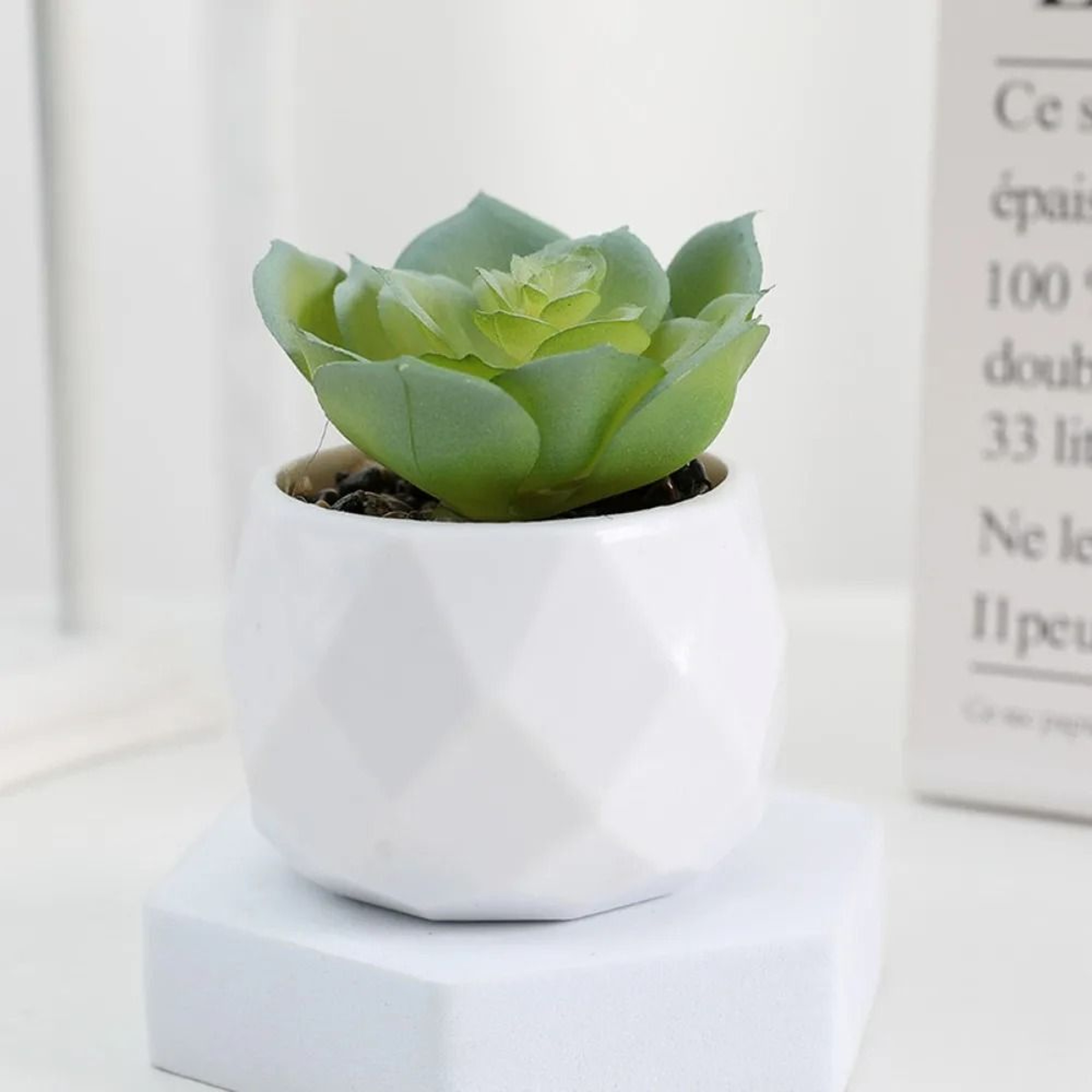 Artificial Succulent Bonsai  Mini Simulation Evergreen Decor 11