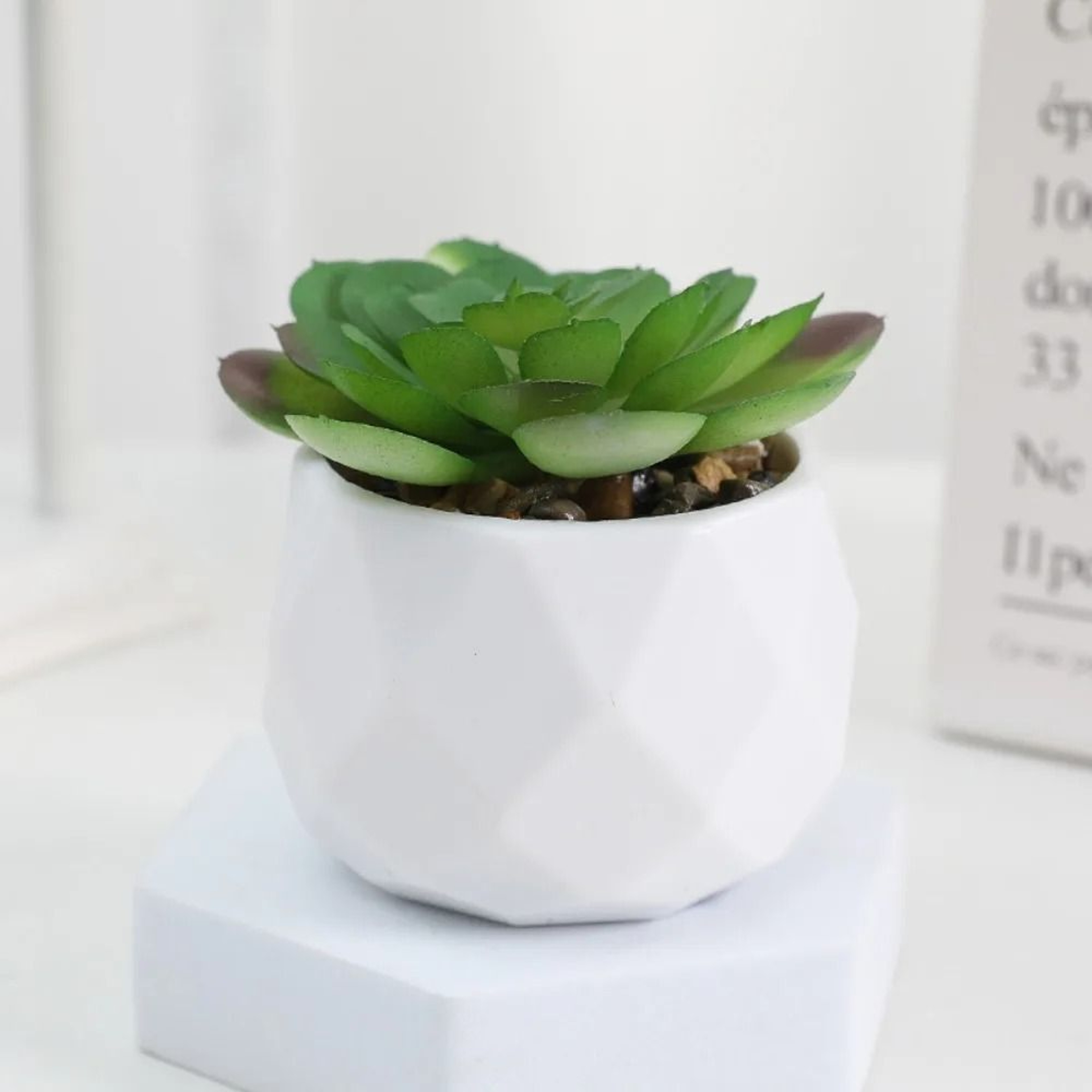 Artificial Succulent Bonsai  Mini Simulation Evergreen Decor 12