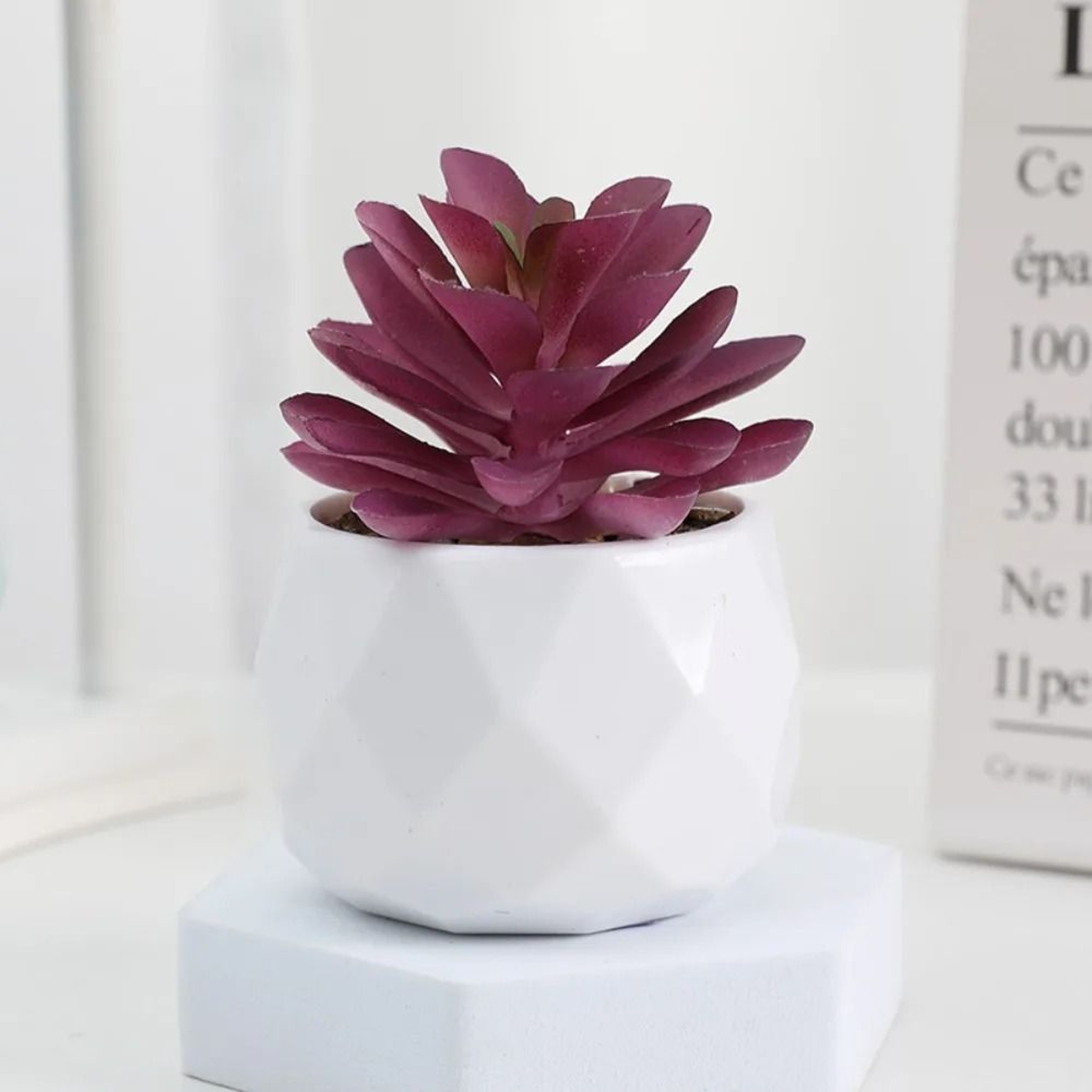 Artificial Succulent Bonsai  Mini Simulation Evergreen Decor 15