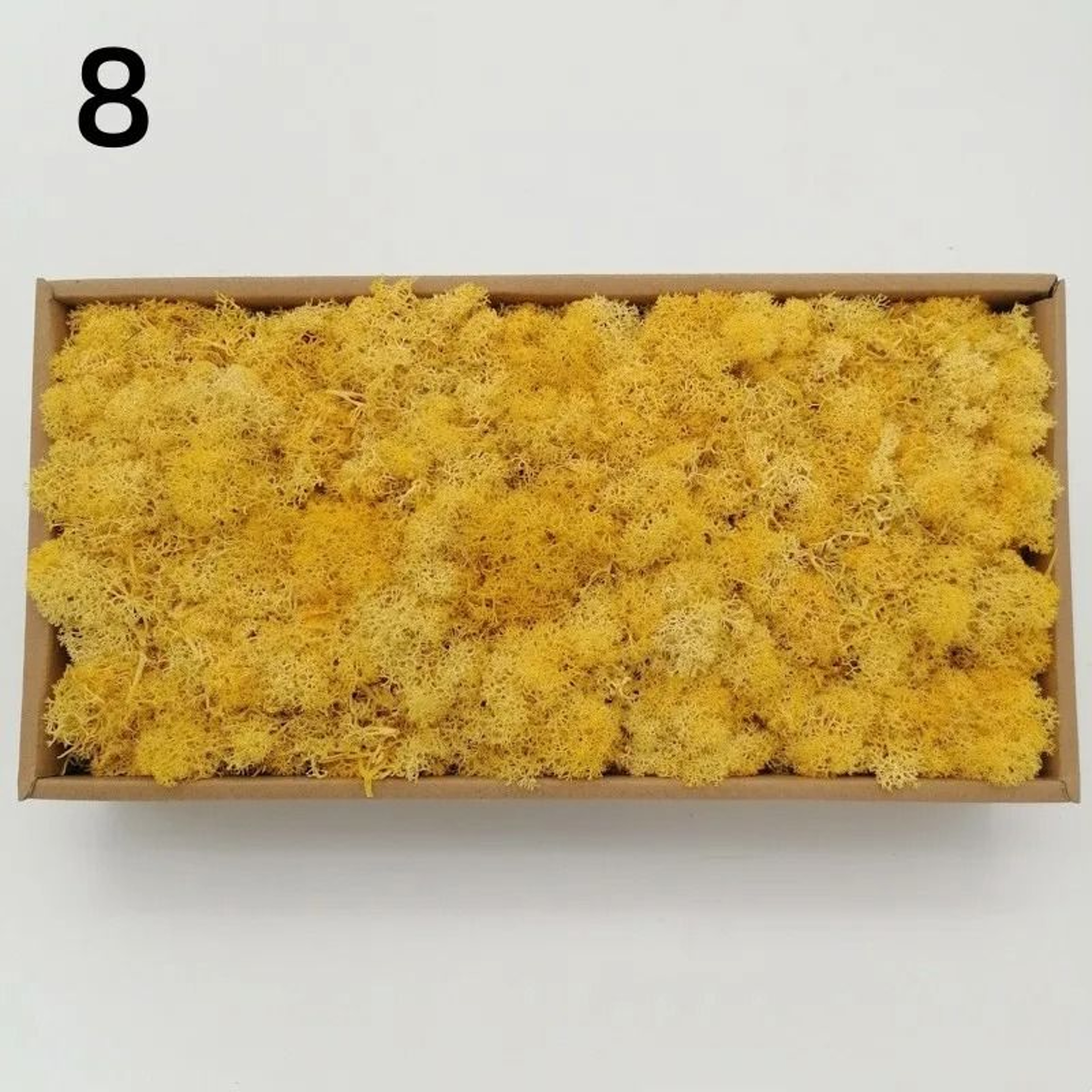 Eternal Life Artificial Moss Premium DIY Craft  Landscape Greenery 15