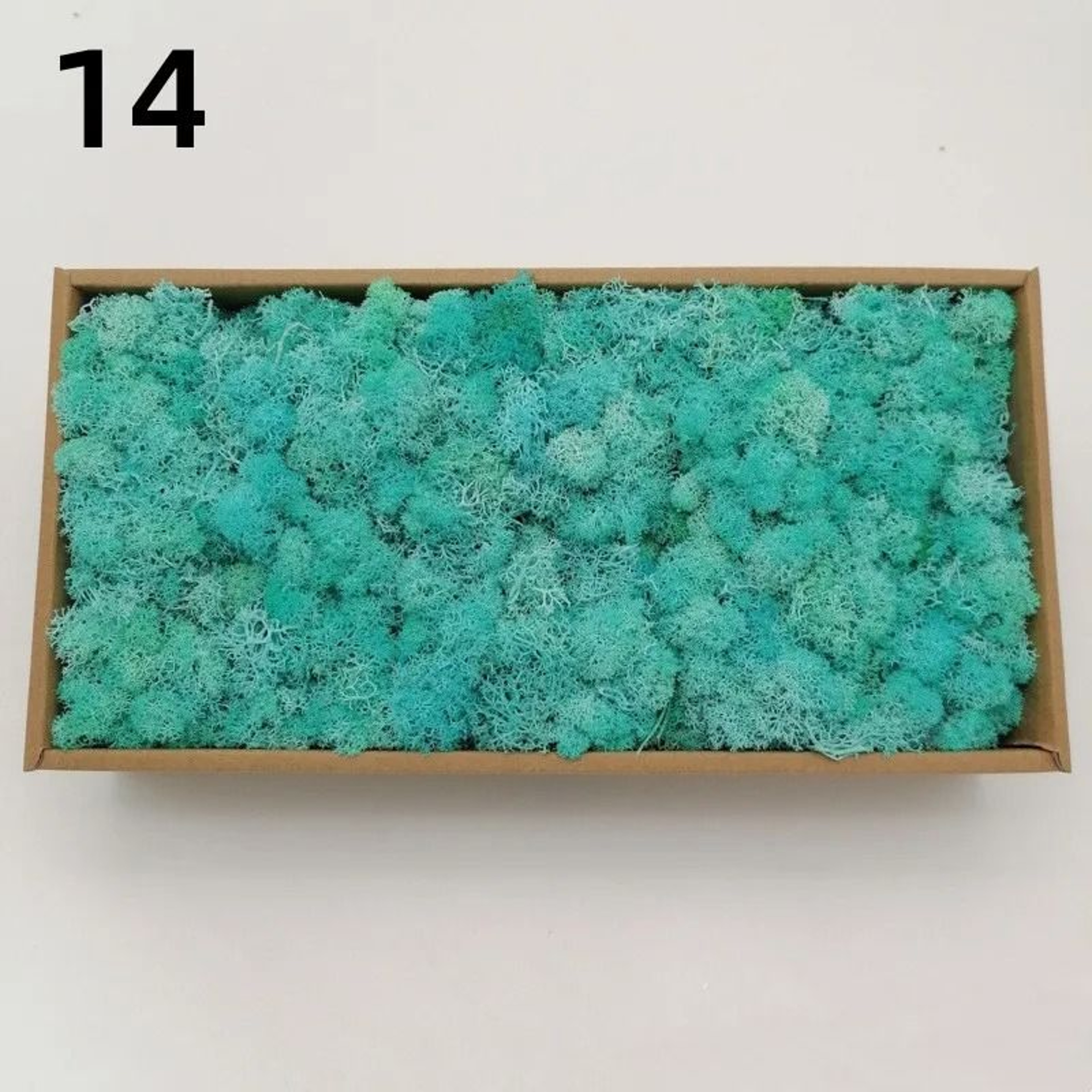 Eternal Life Artificial Moss Premium DIY Craft  Landscape Greenery 21