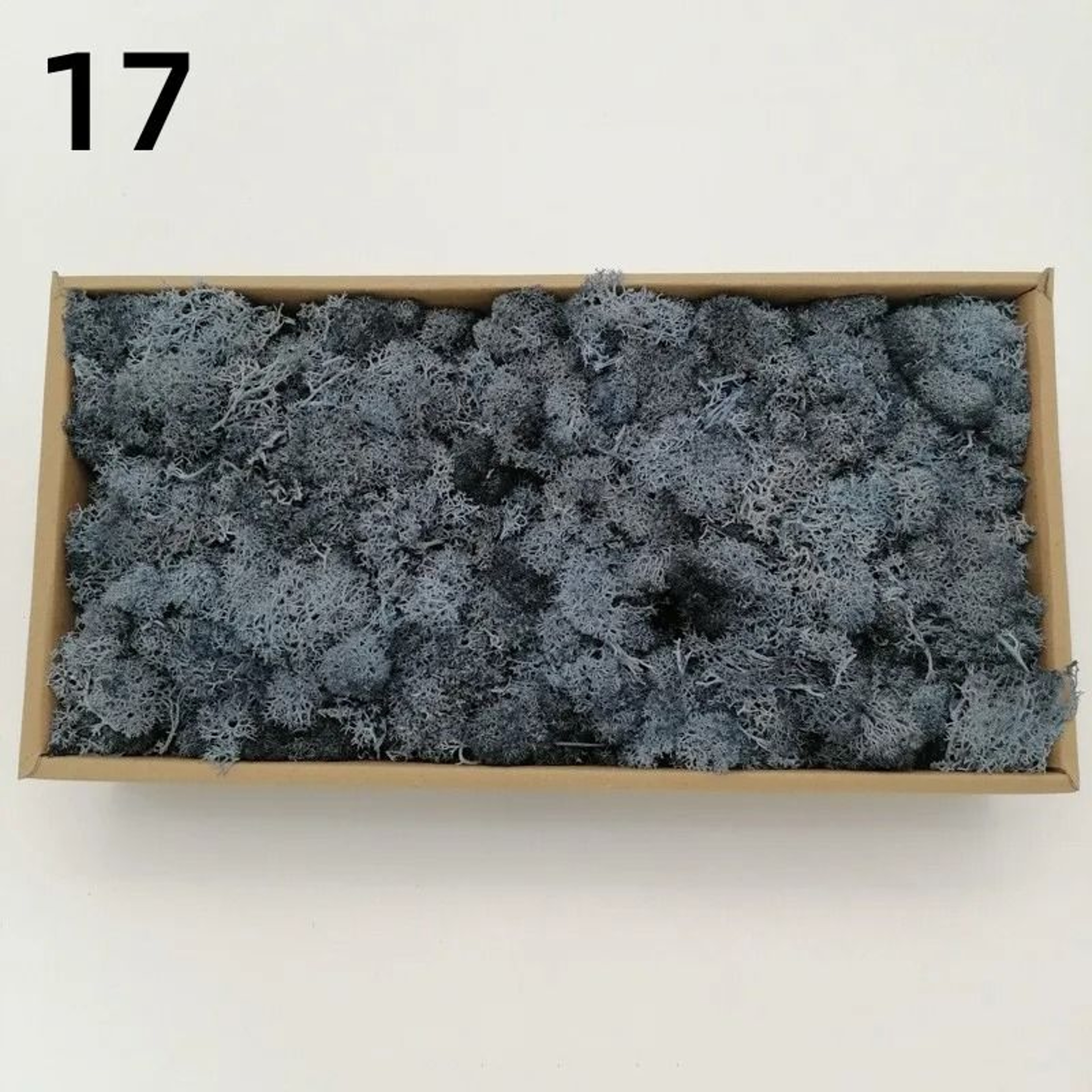 Eternal Life Artificial Moss Premium DIY Craft  Landscape Greenery 23
