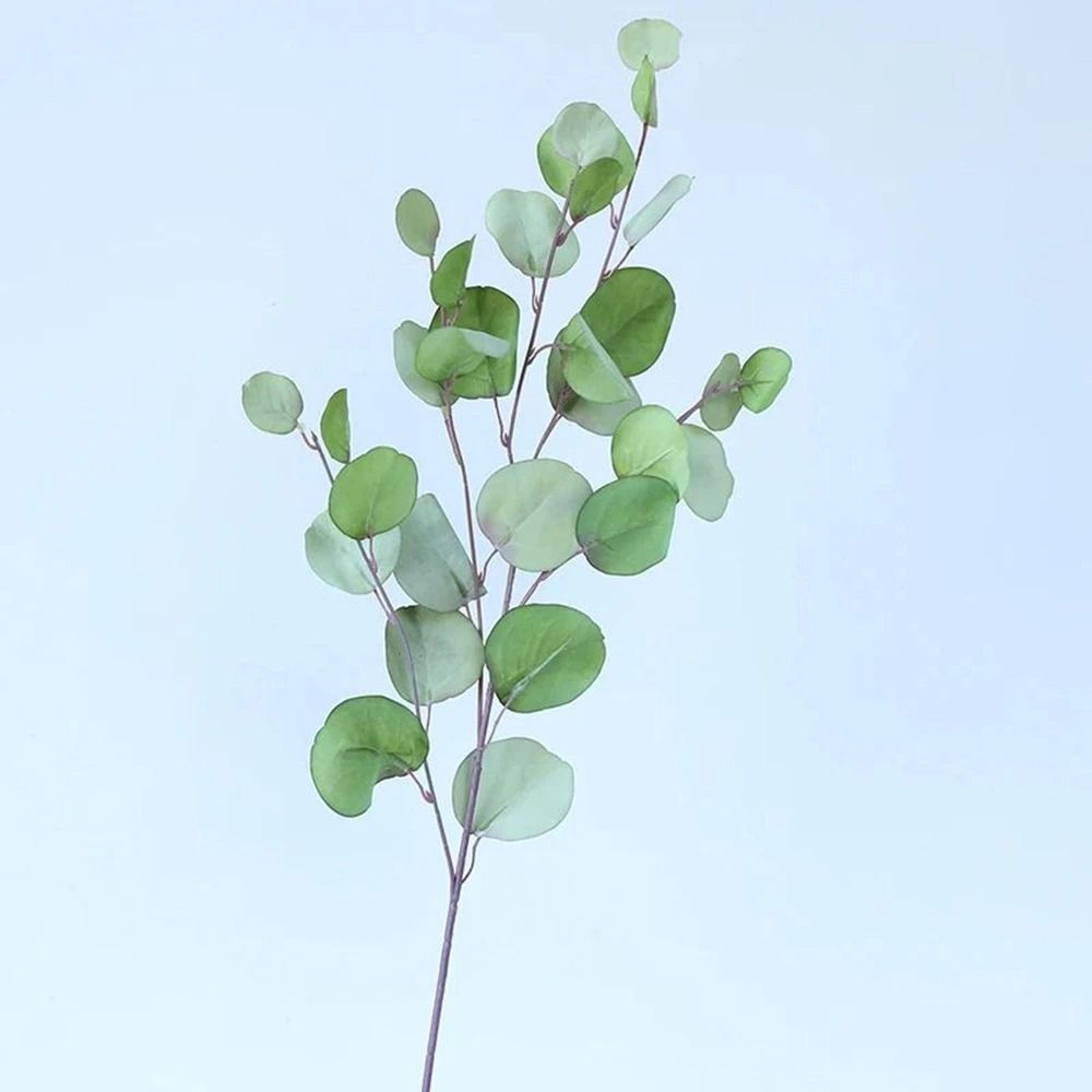 Artificial Long Pole Eucalyptus  HighDefinition Modern Faux Foliage For Vases  Minimalist Interior  11