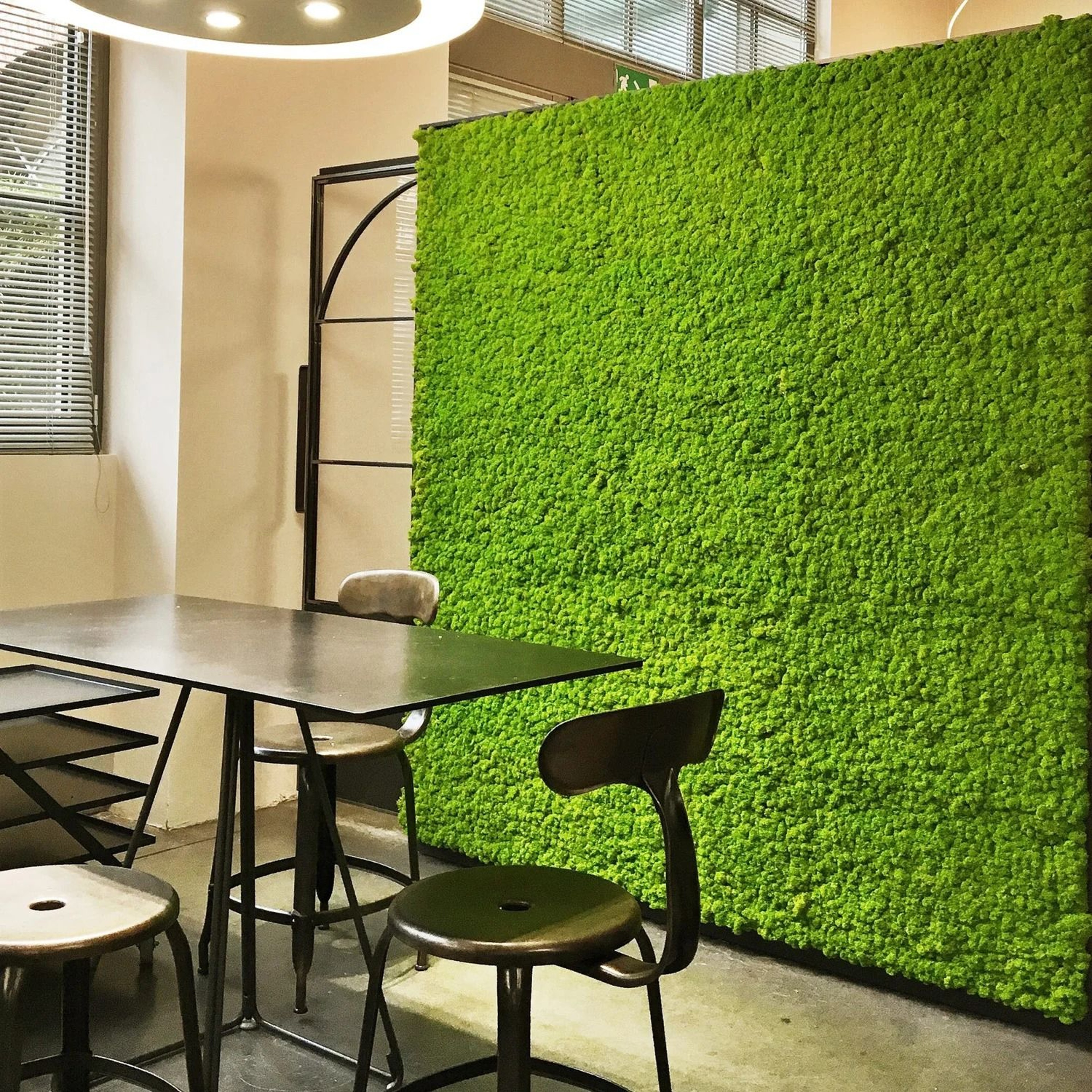 Natural Green Simulation Eternal Moss 3