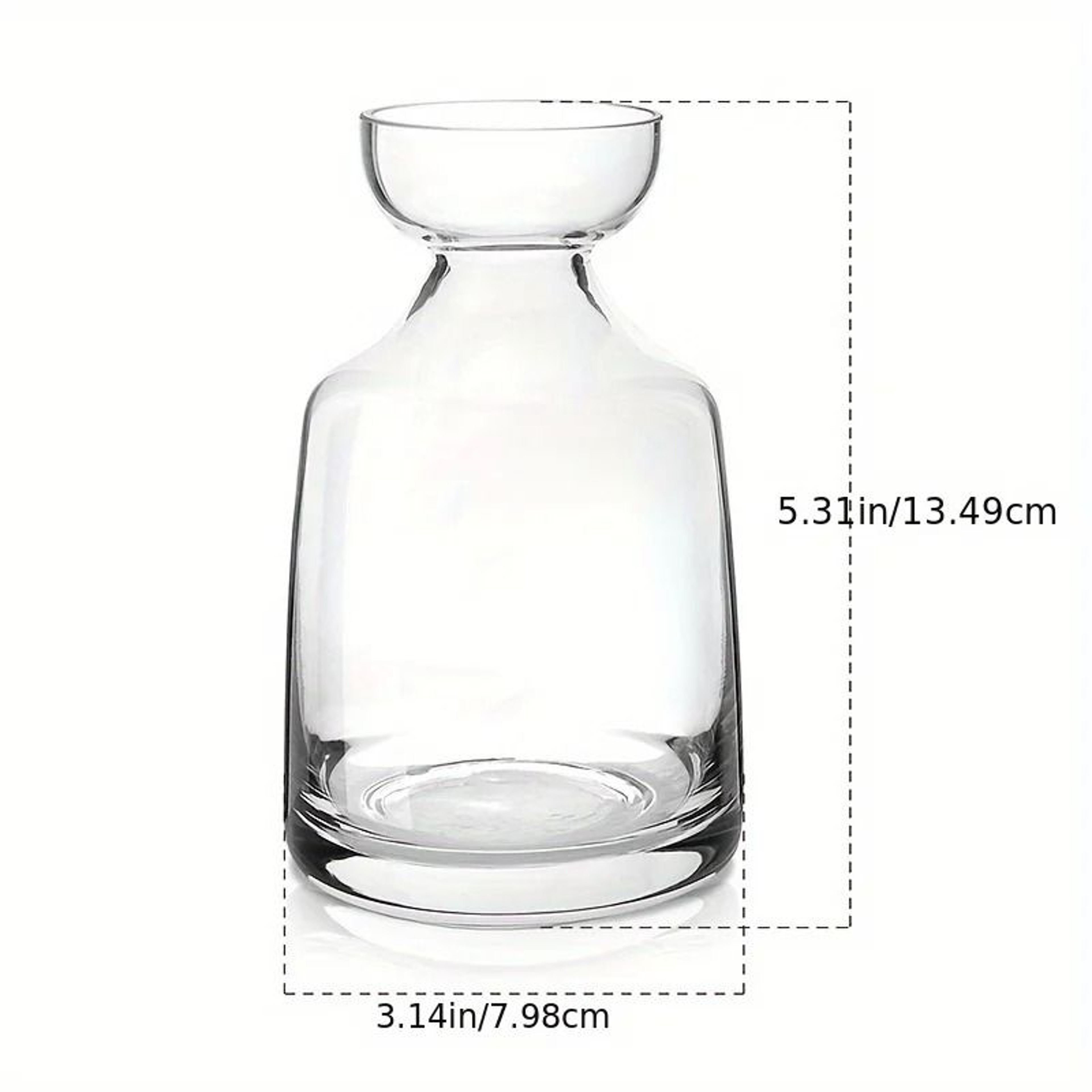 Avocado Seed Starter Set  HighDefinition Glass Propagation Sculptures 4