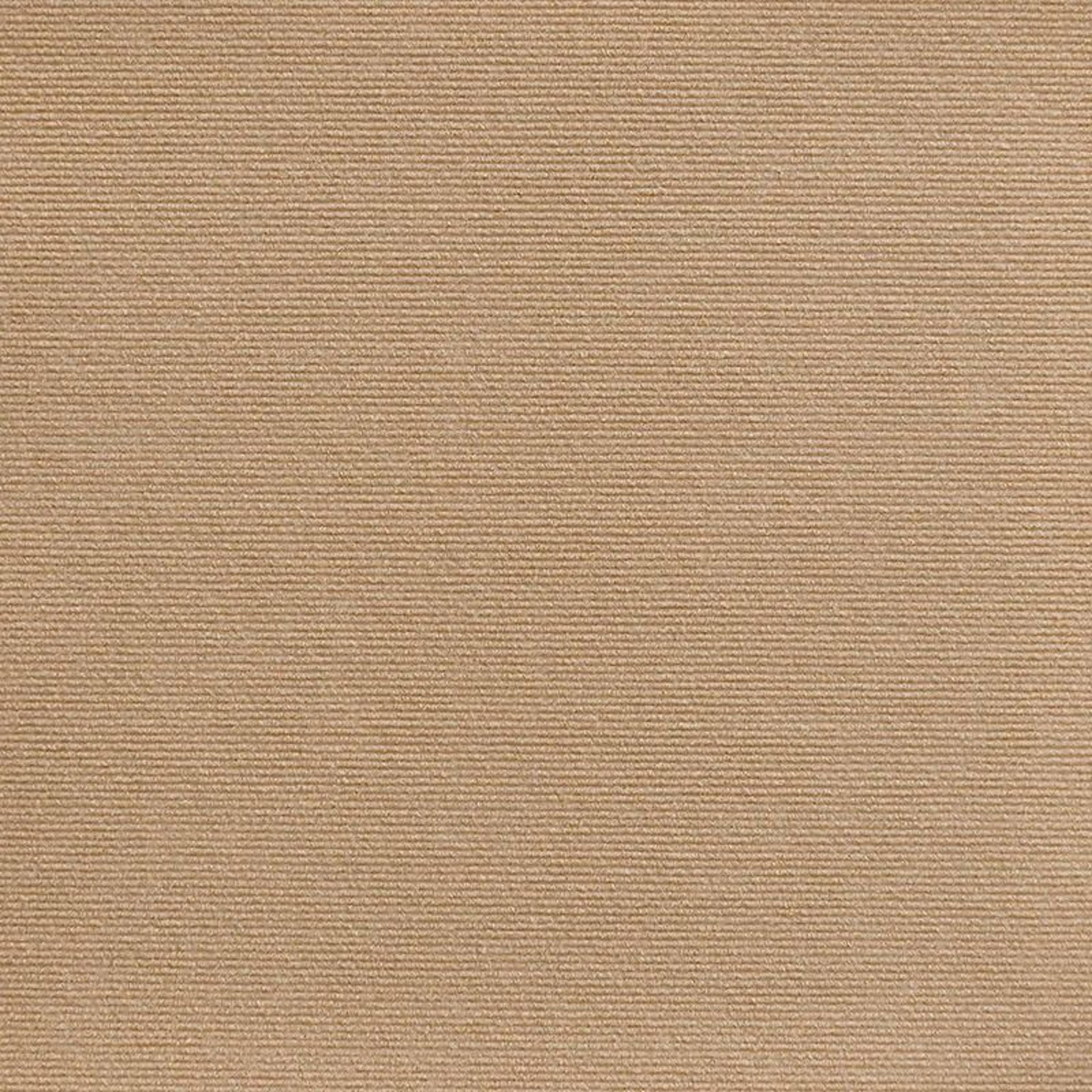 SelfAdhesive Protective Carpet  HighDefinition AntiScratch Architectural Shield 11