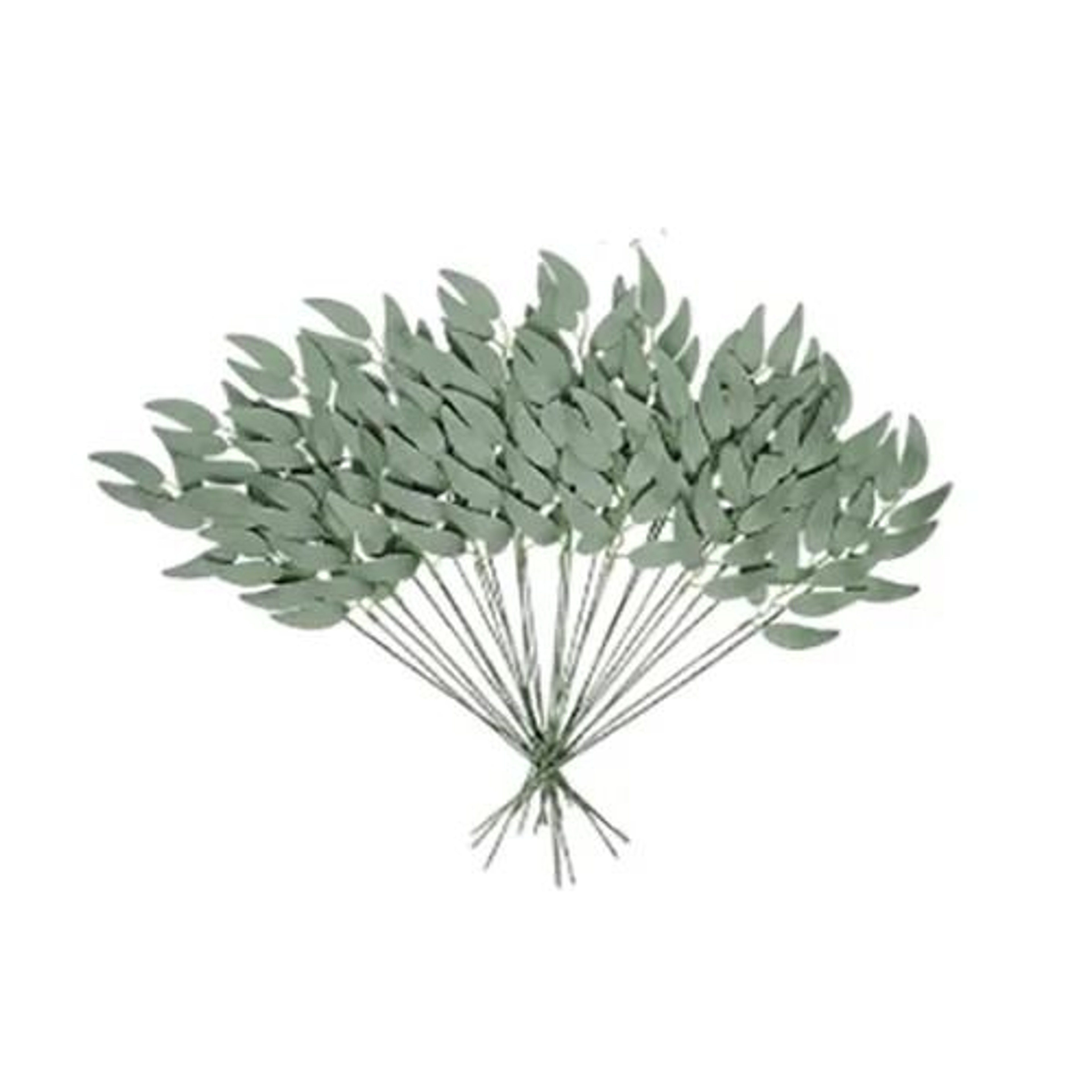 Arboreal Narrative Stems  HighDefinition Eucalyptus Architectural Ornament 6