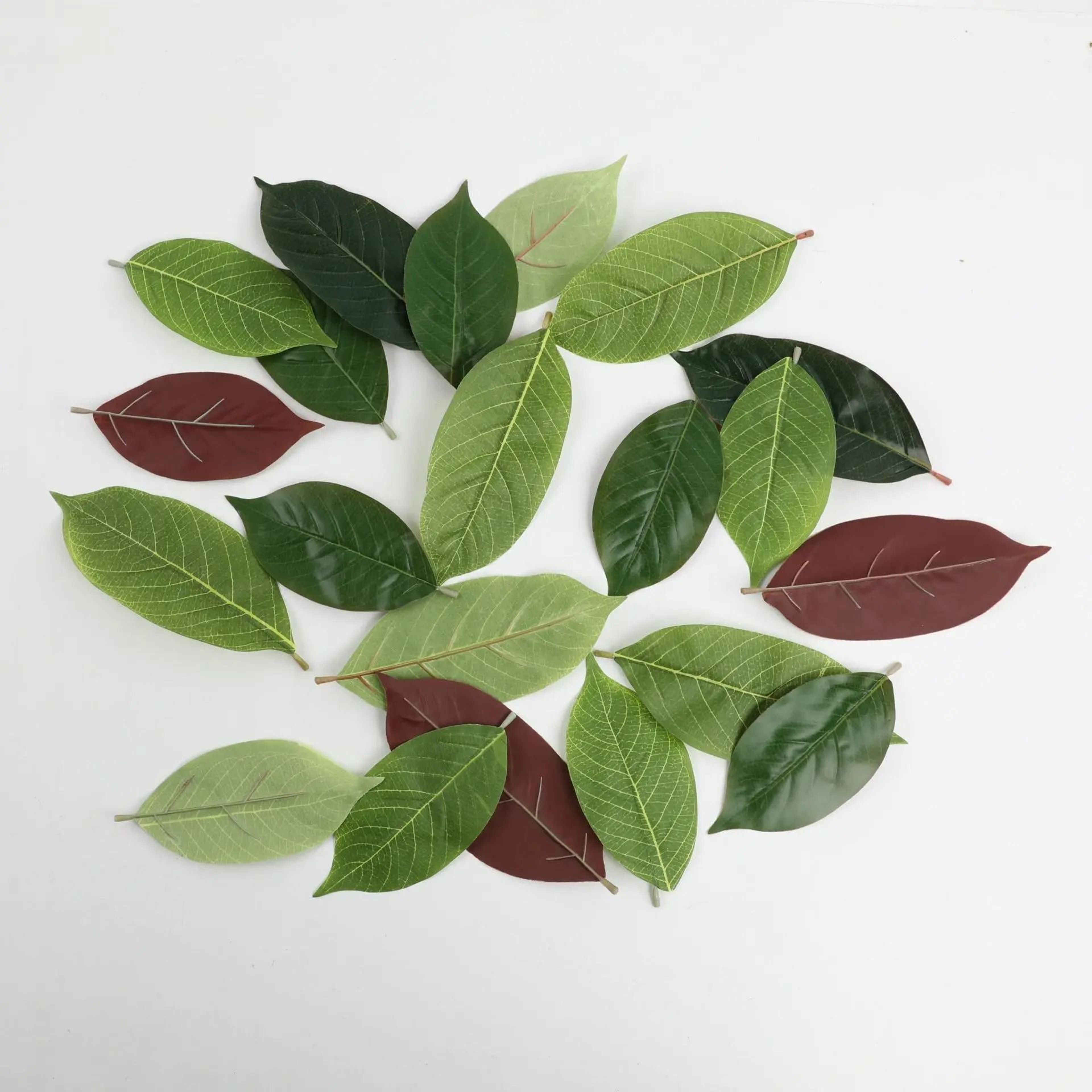 Botanical Narrative Sculpture  HighDefinition Magnolia Leaf Architectural Set 5
