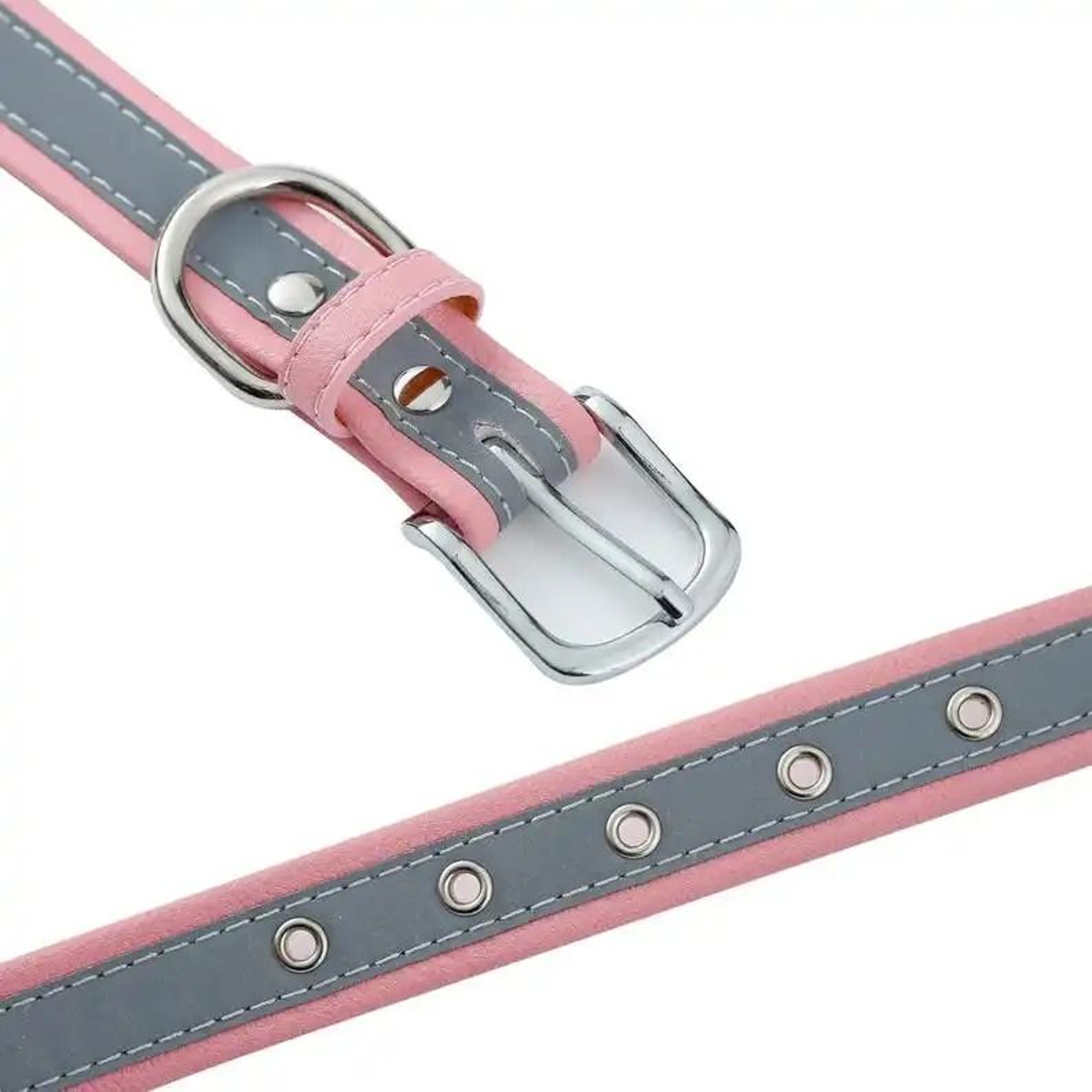 SignatureSeries Custom Engraved Reflective Pet Collar 5