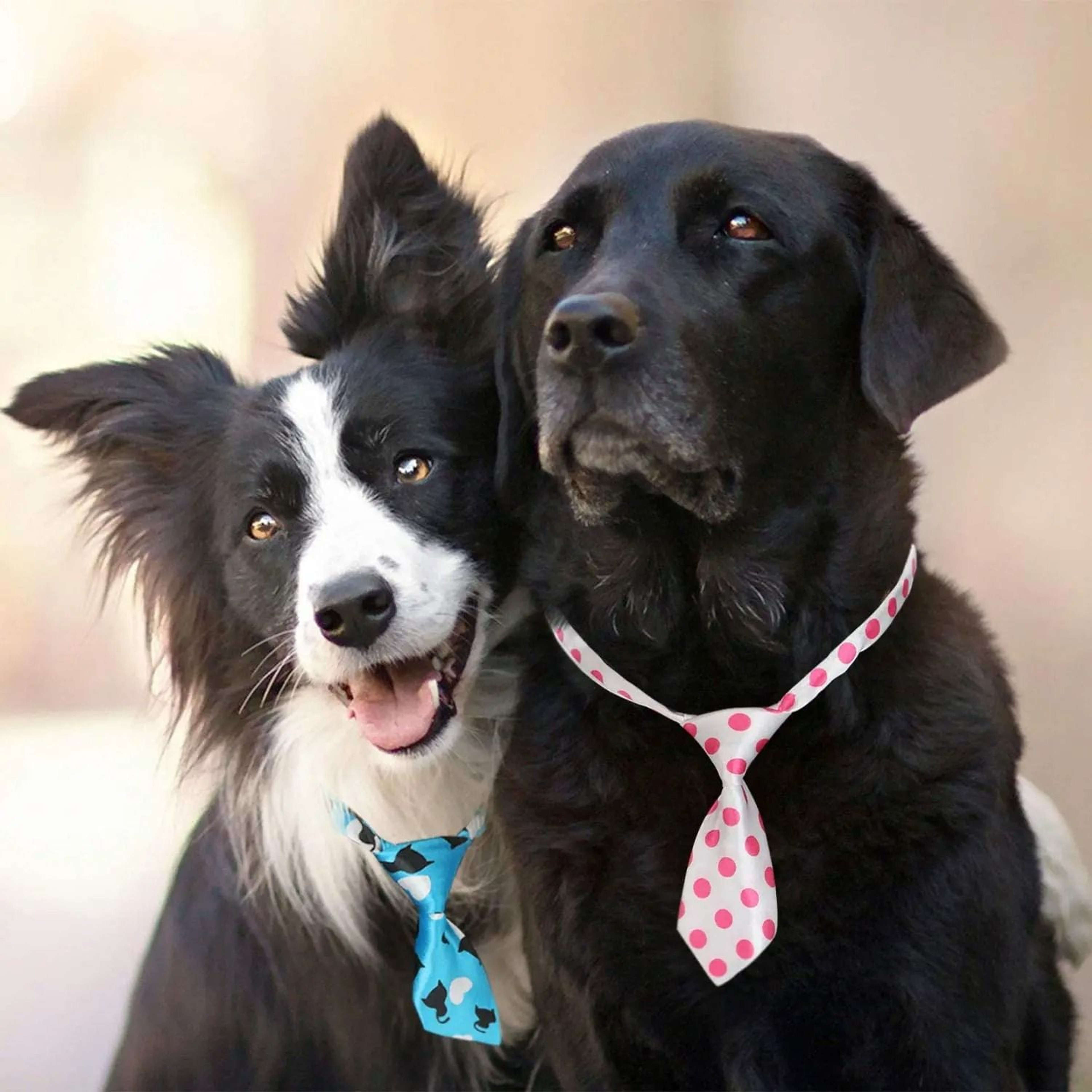 Premium Bulk Pet Bow Tie Set  Mixed Colors Adjustable Grooming Accessories 2