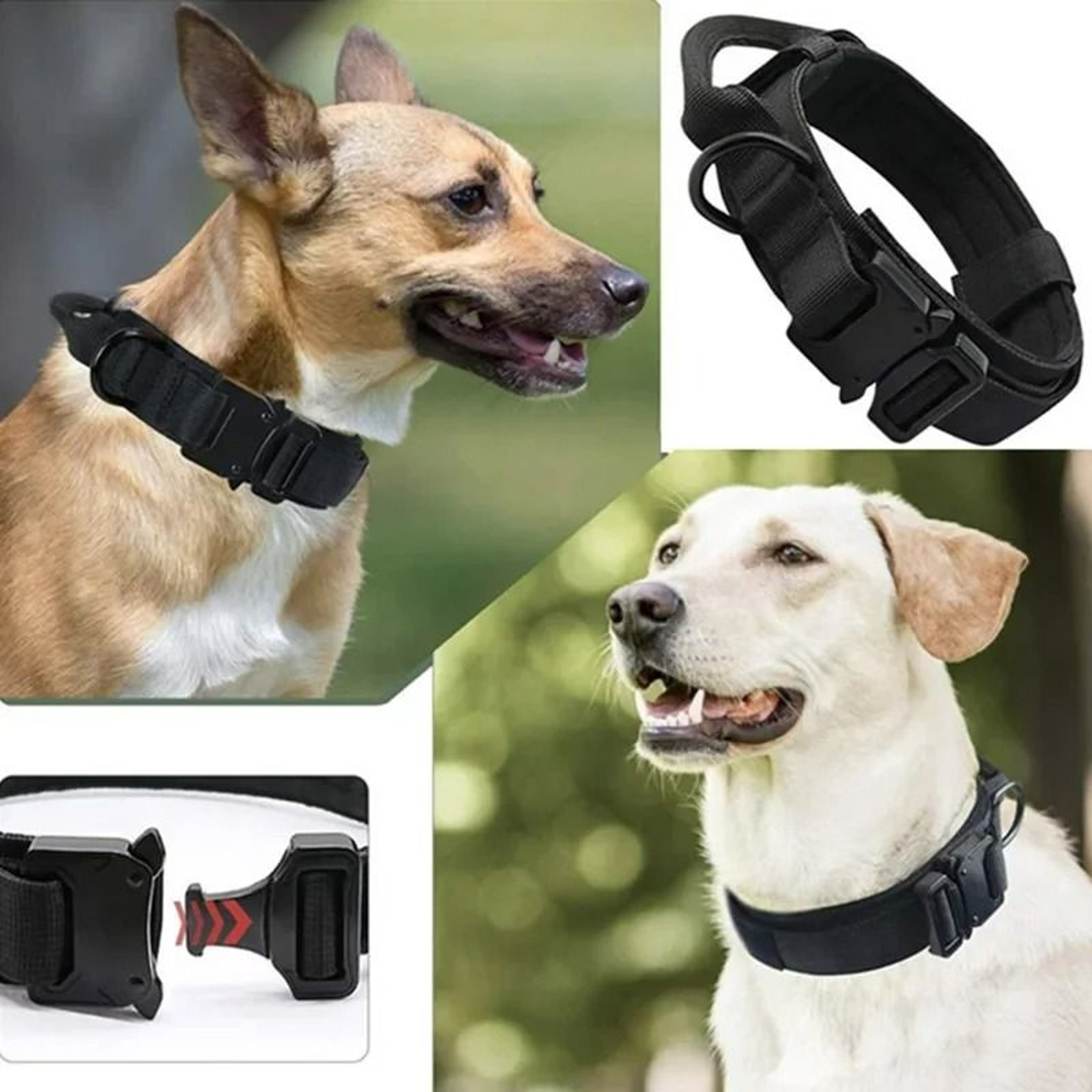 Tactical Dog Collar  Bungee Leash Set  MilitaryGrade Training Gear For Medium  Large Breeds 2