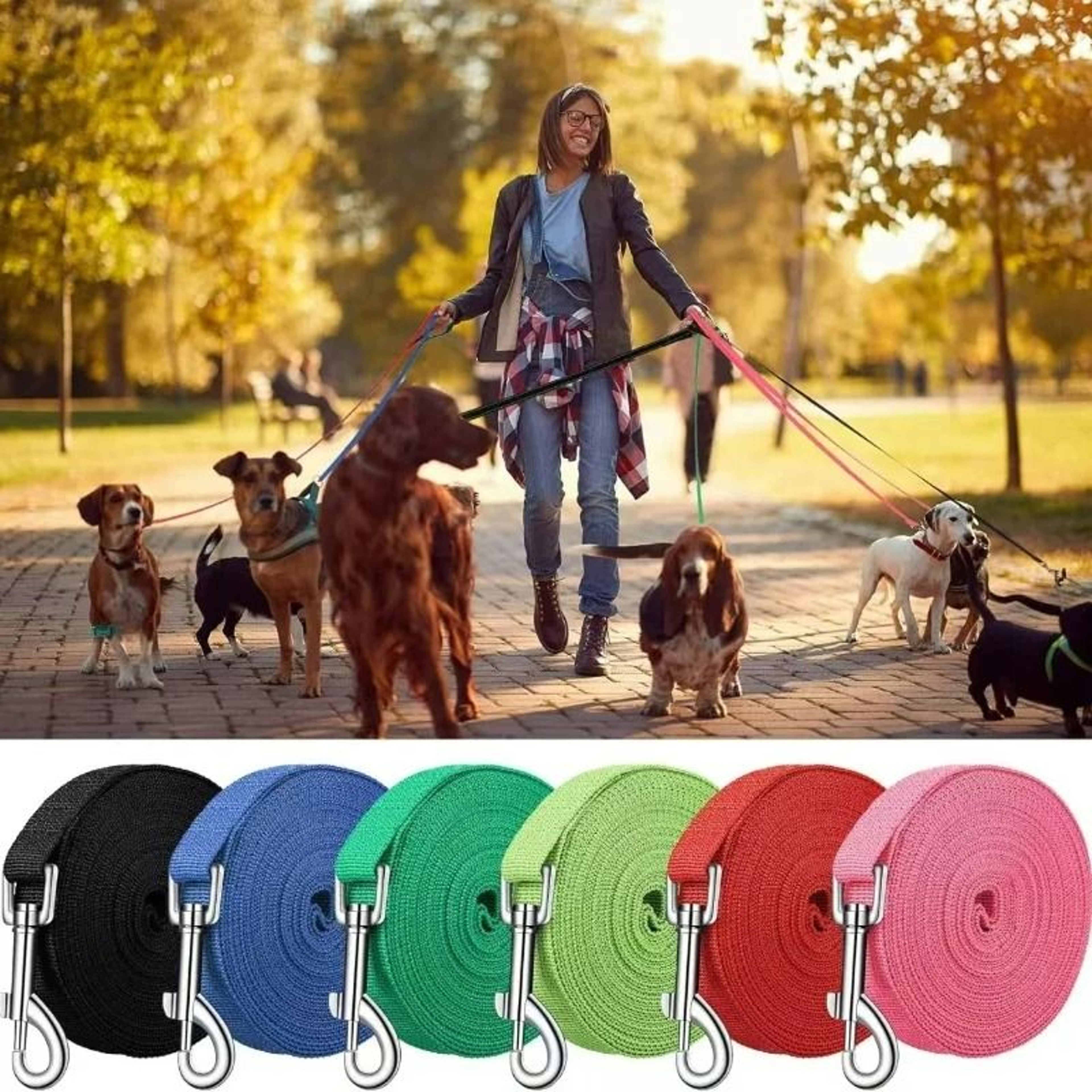 HighTensile Nylon Training Lead  MultiLength Versatile Traction Rope For Small To Large Dogs 1