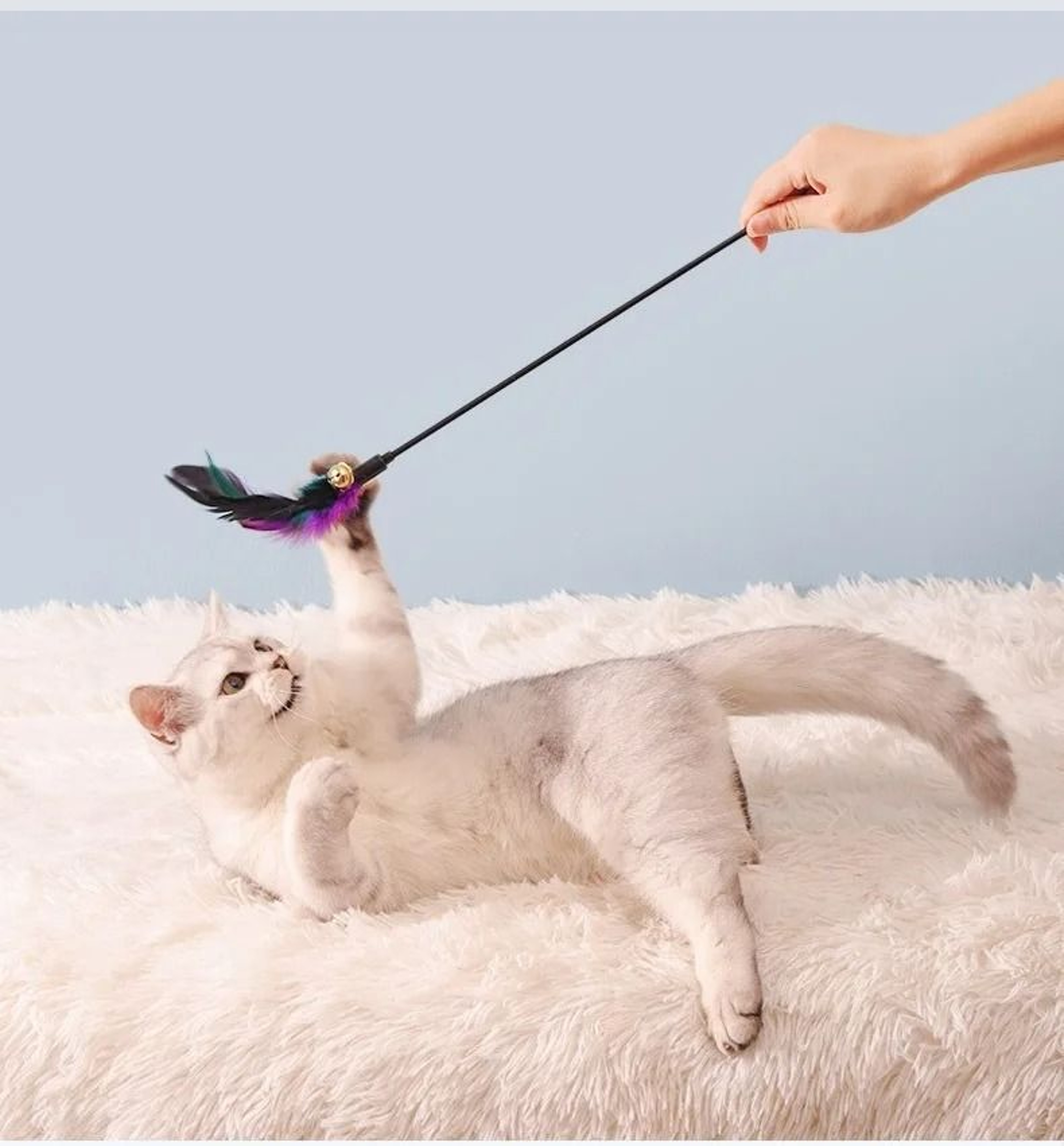 5Piece Interactive Cat Feather Wand Set 3