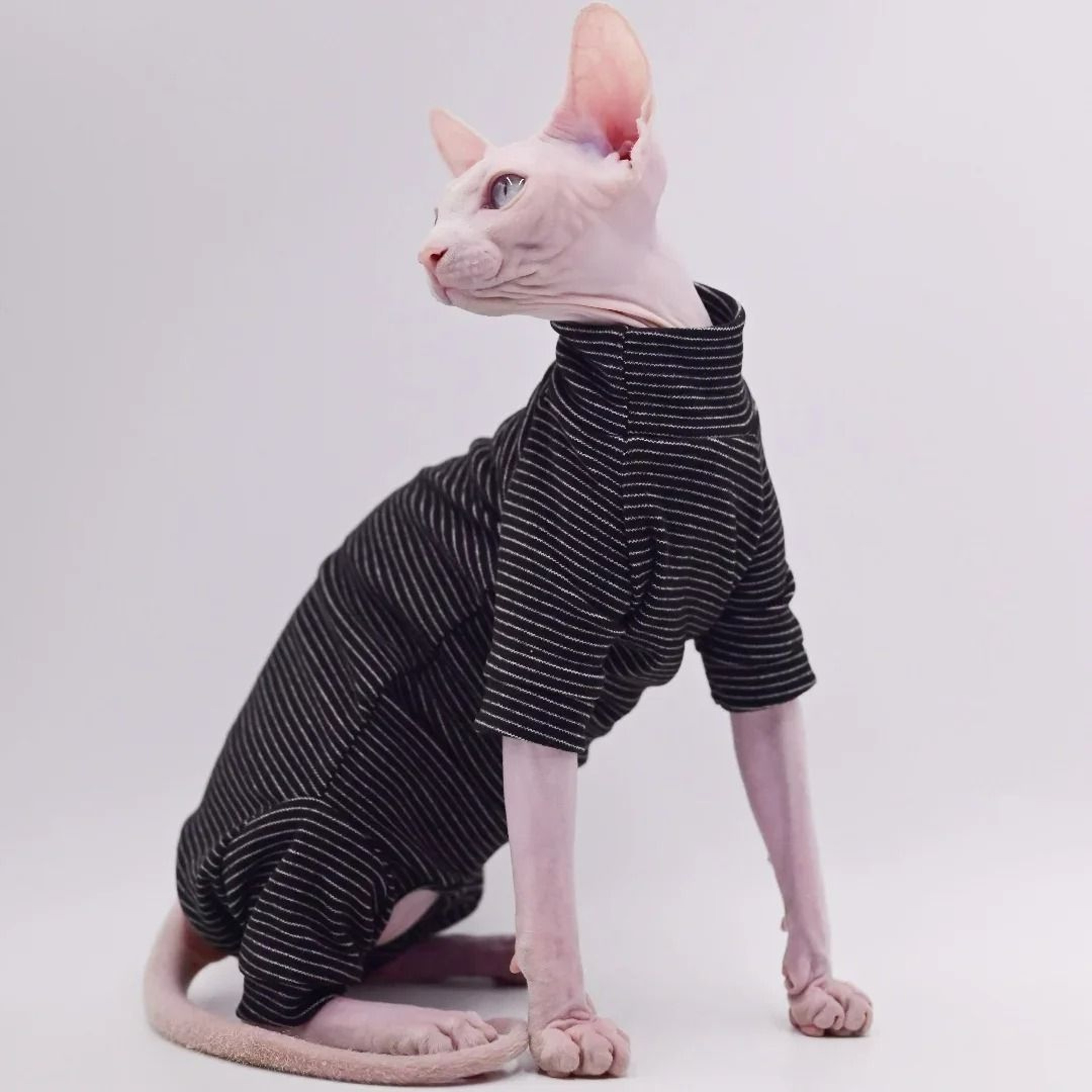Cozy FourLegged Thermal Jacket For Hairless Breeds 3