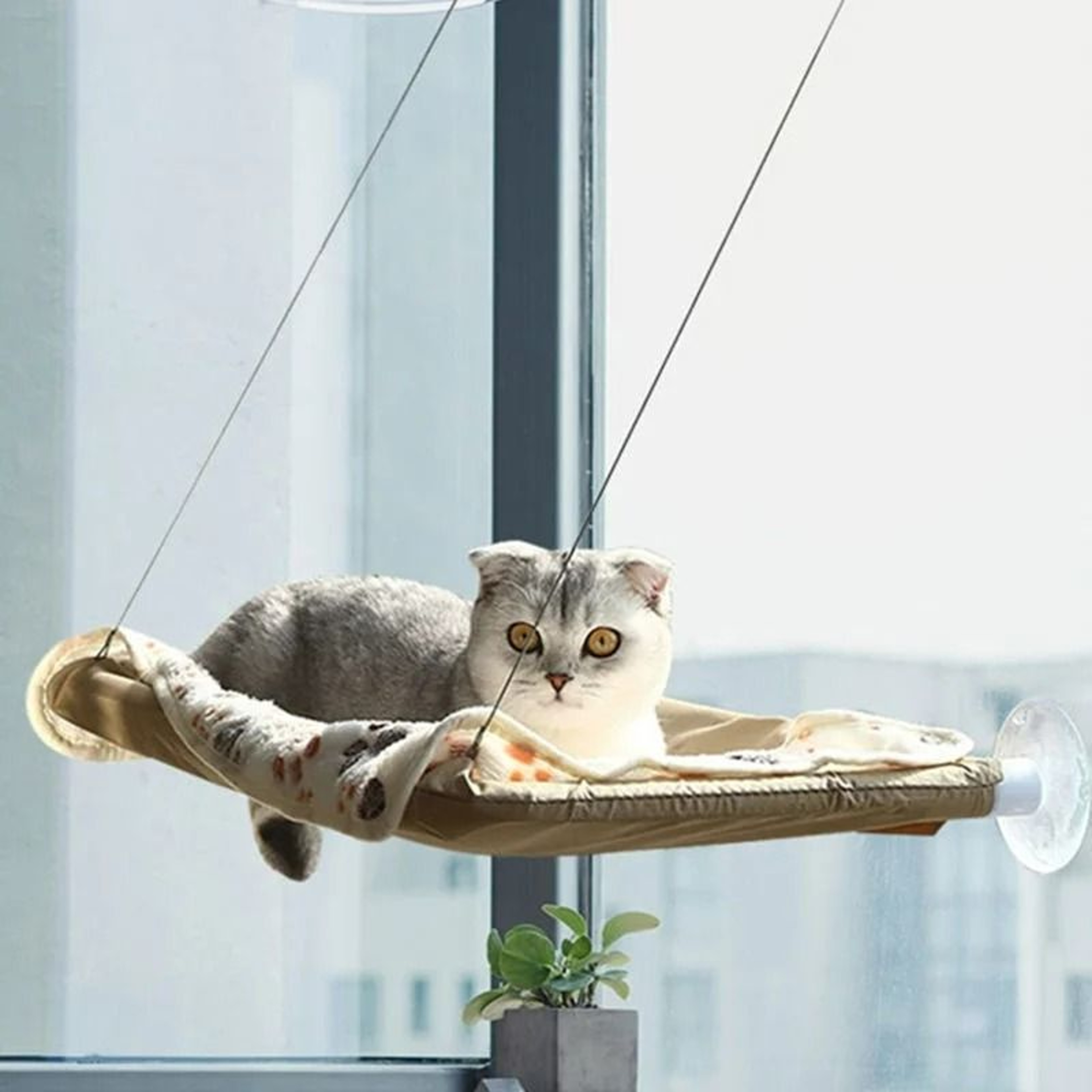 HeavyDuty Window Mount Cat Hammock  Sunny Seat 6