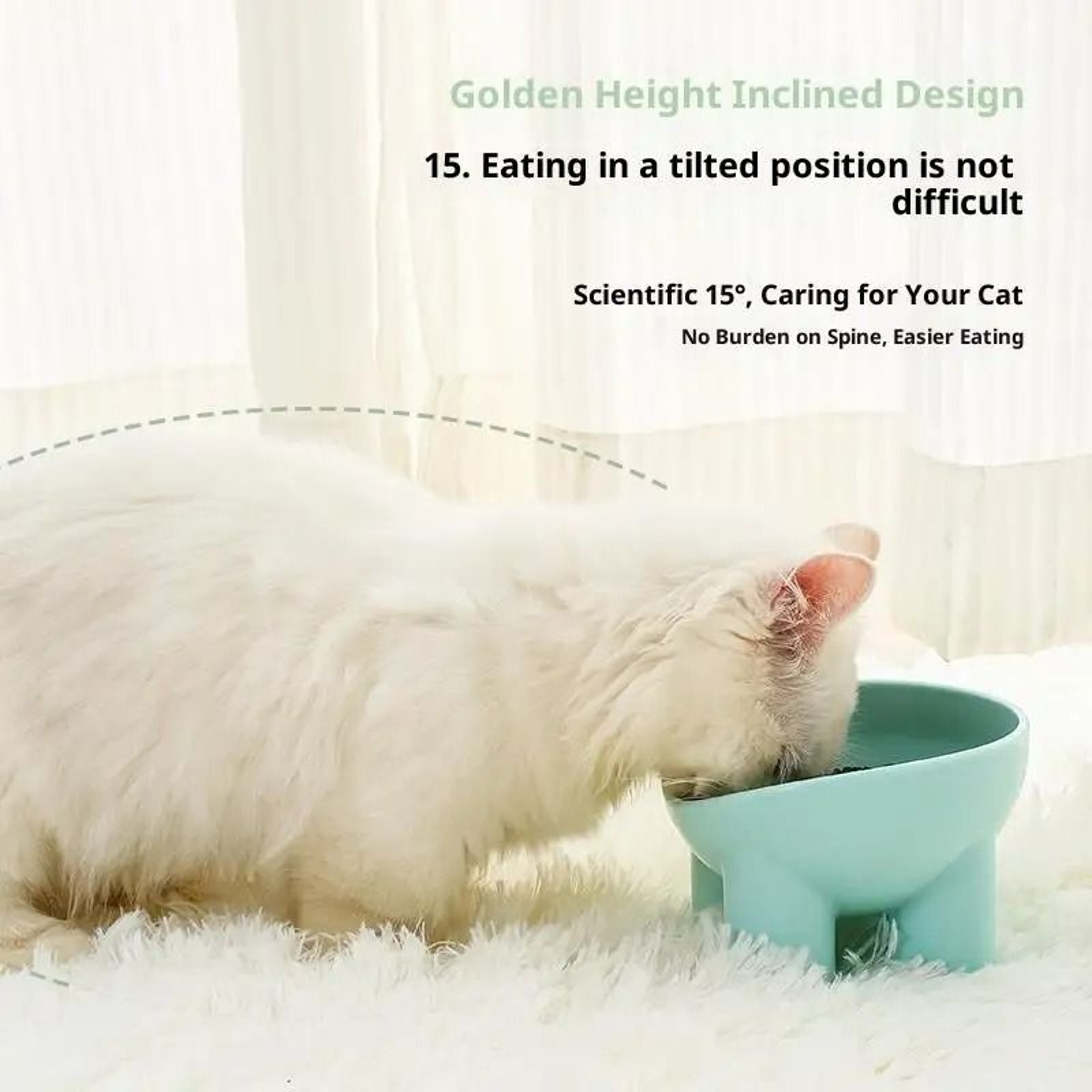 Modern Orthopedic Elevated Pet Feeder 3