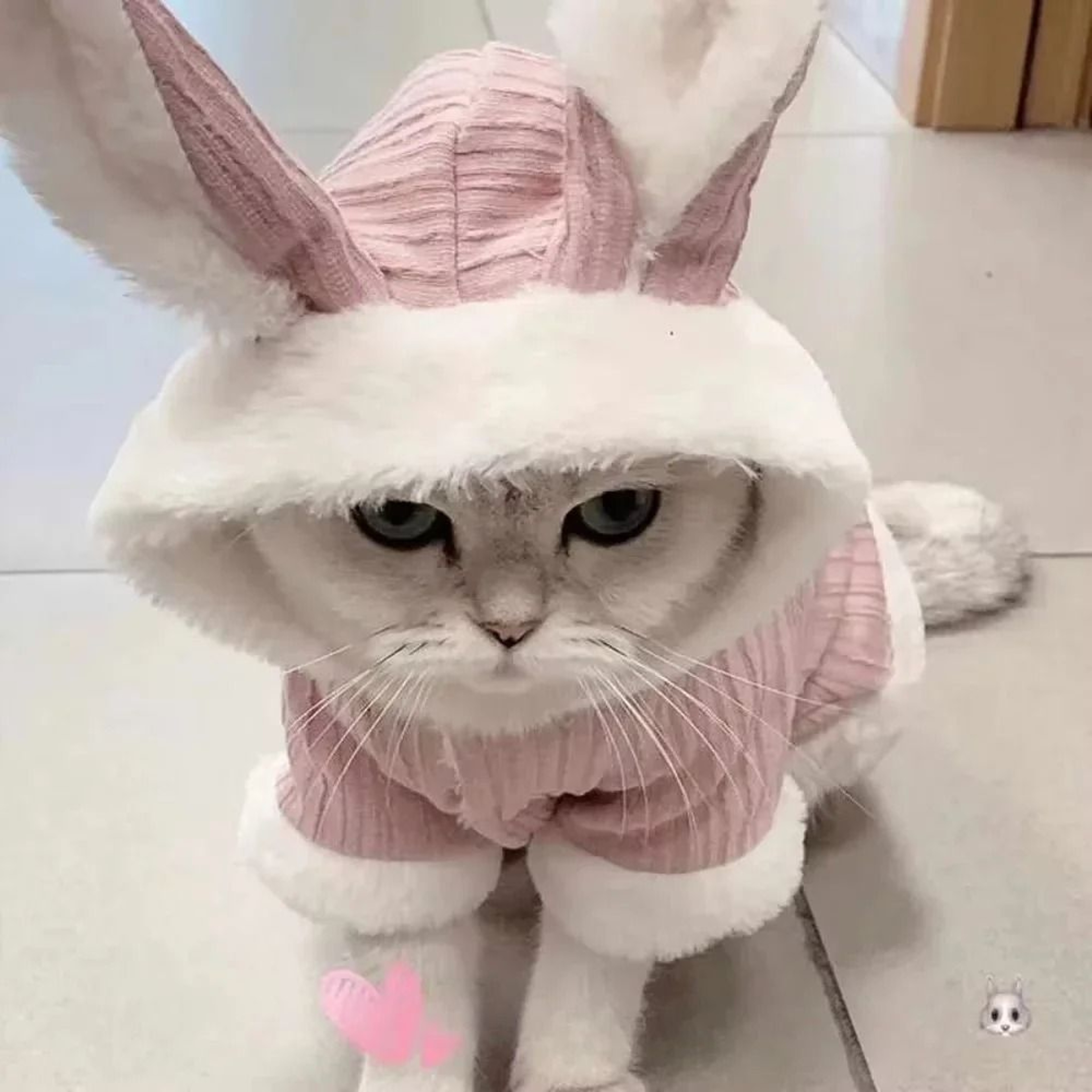 UltraSoft Cozy Autumn  Winter Pet Sweater 1