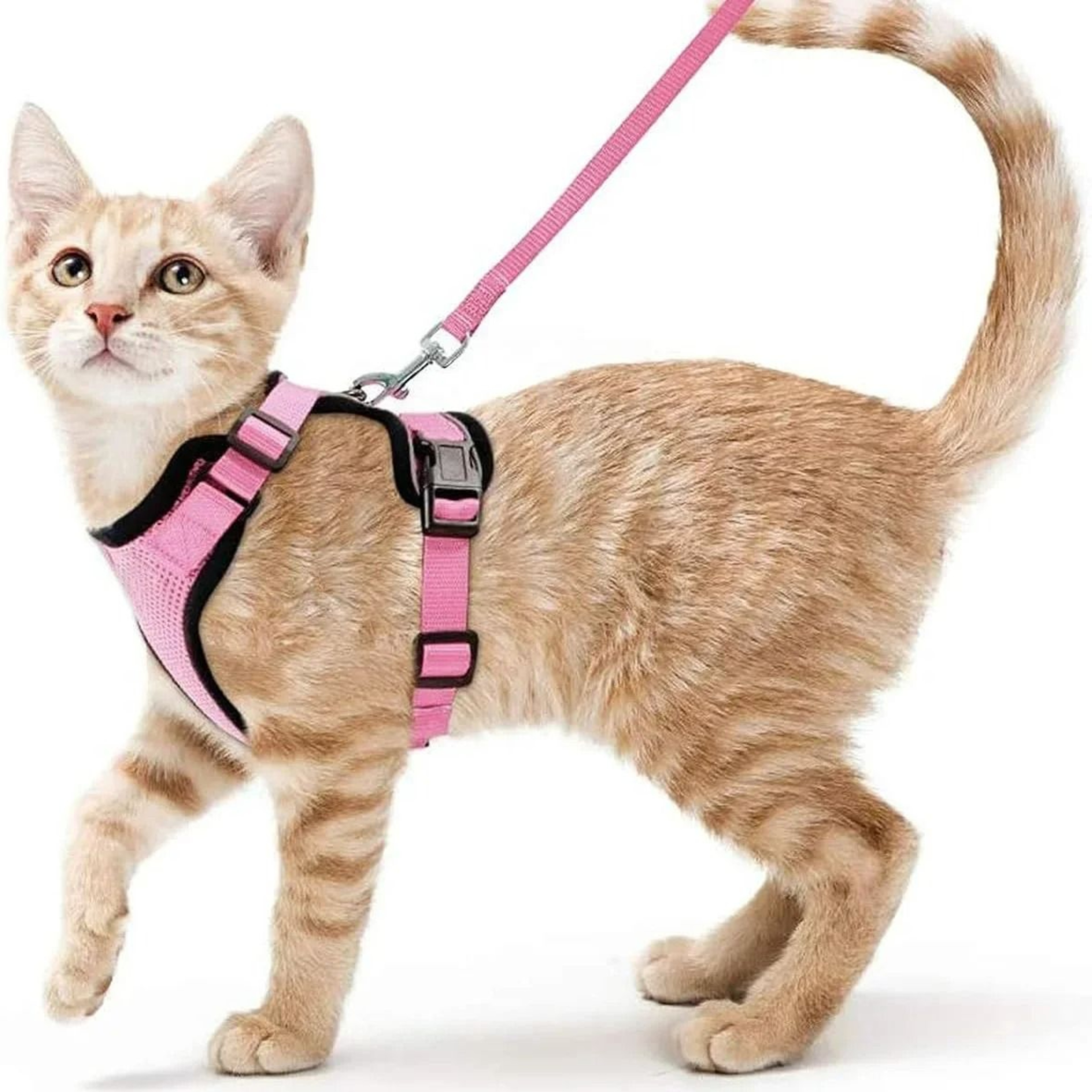 EscapeProof Soft Mesh Cat Harness  Leash Set 3
