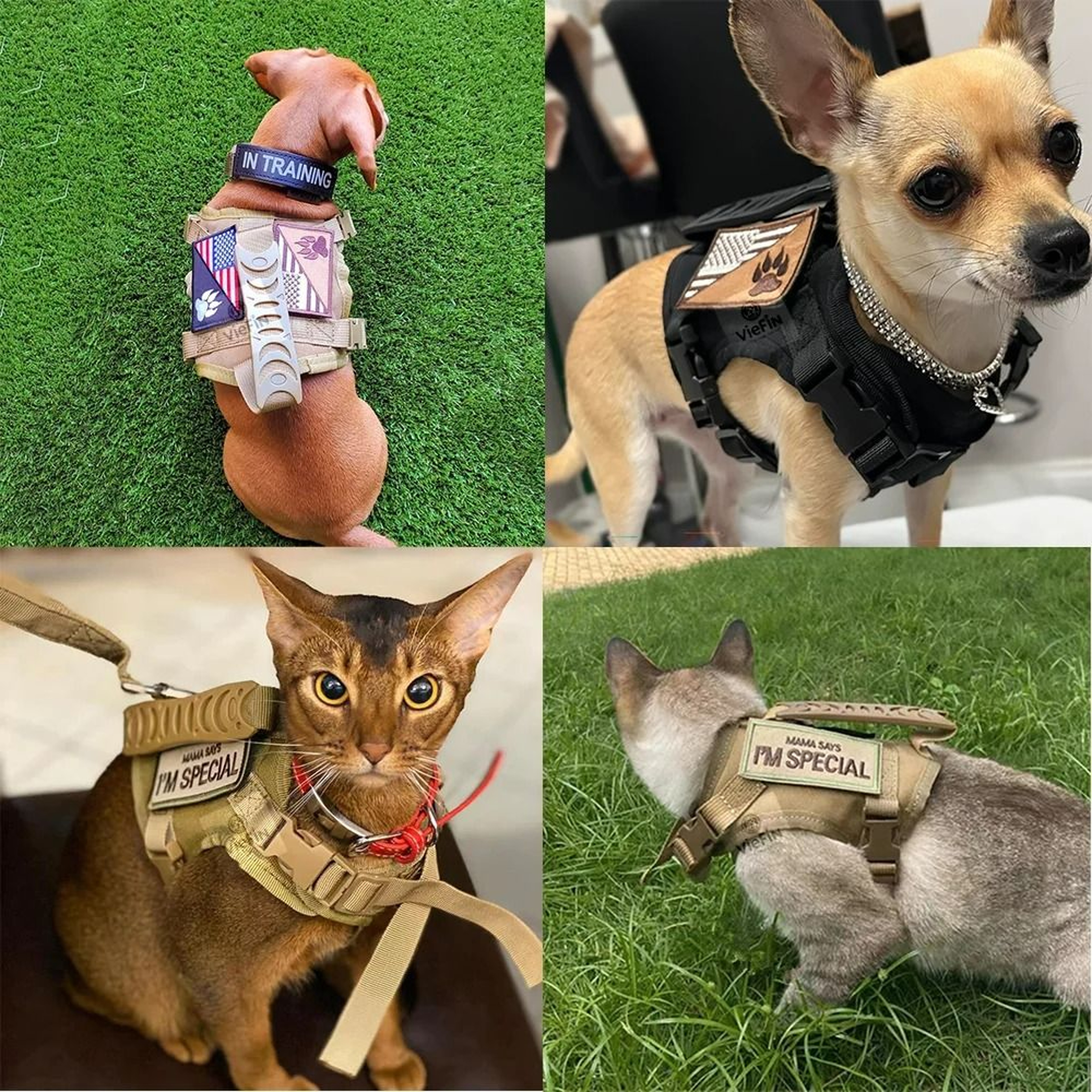 Elite Tactical EscapeProof Cat Harness And Leash Set 5