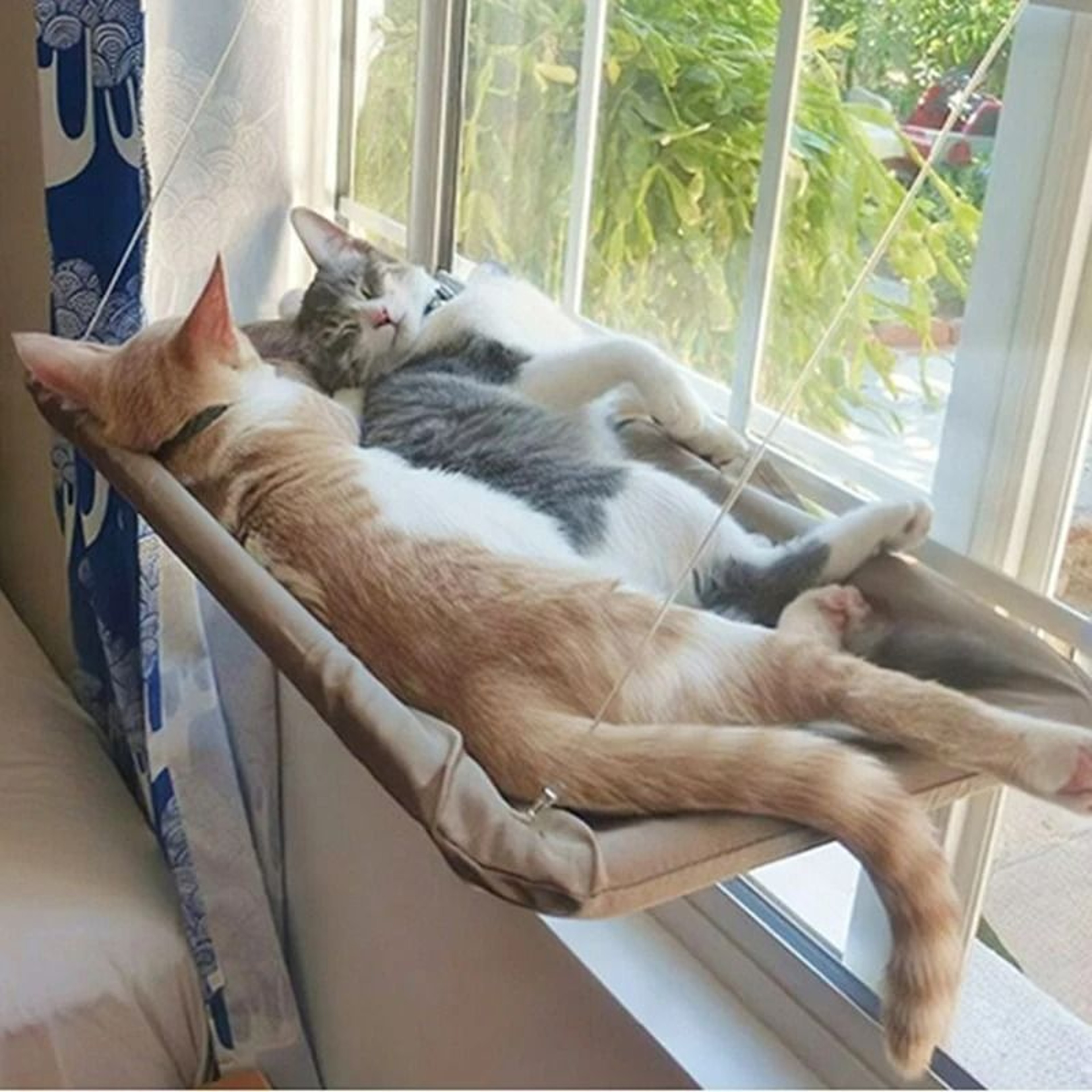 HeavyDuty Oxford Window Cat Hammock 2