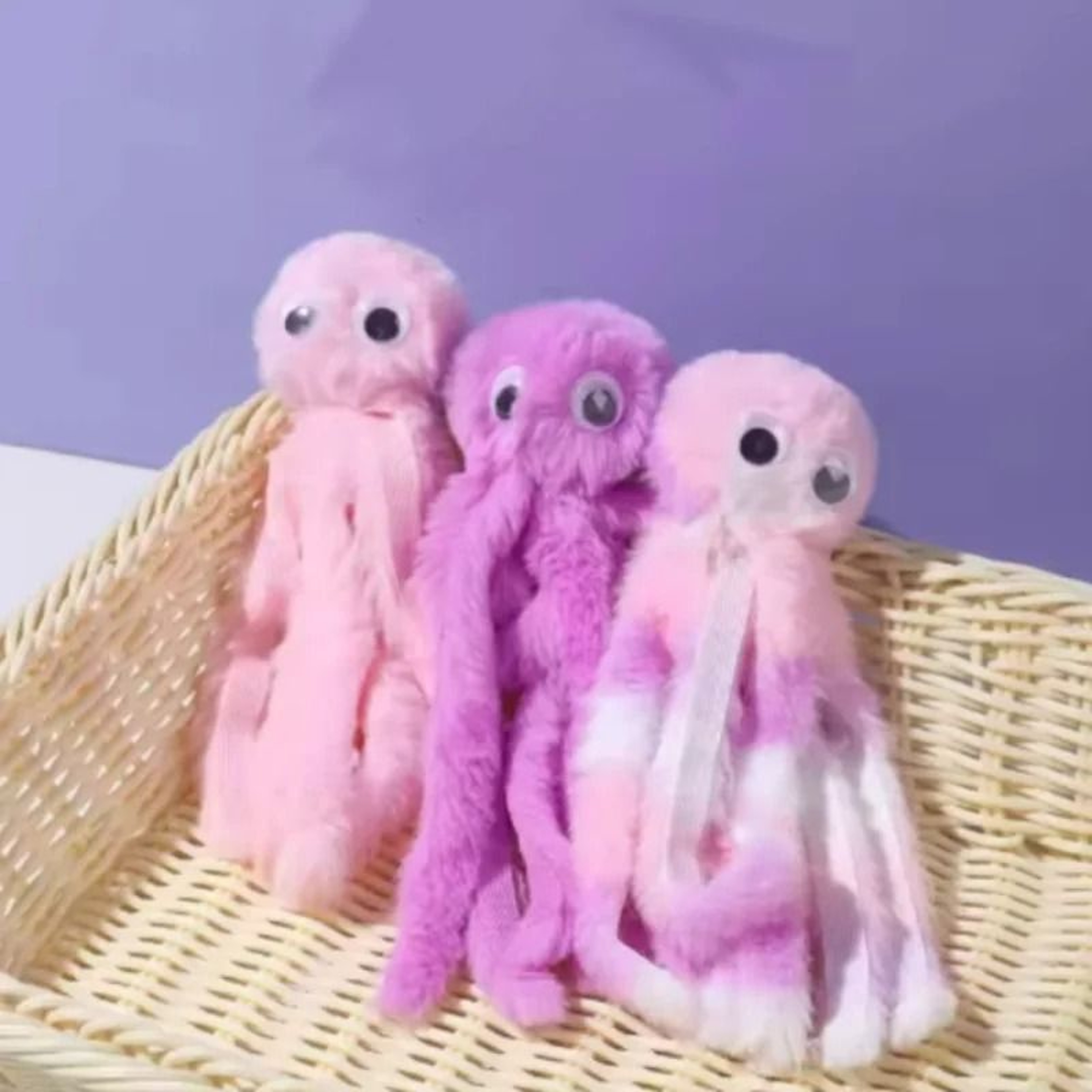 Interactive Plush Octopus Catnip Toy 5