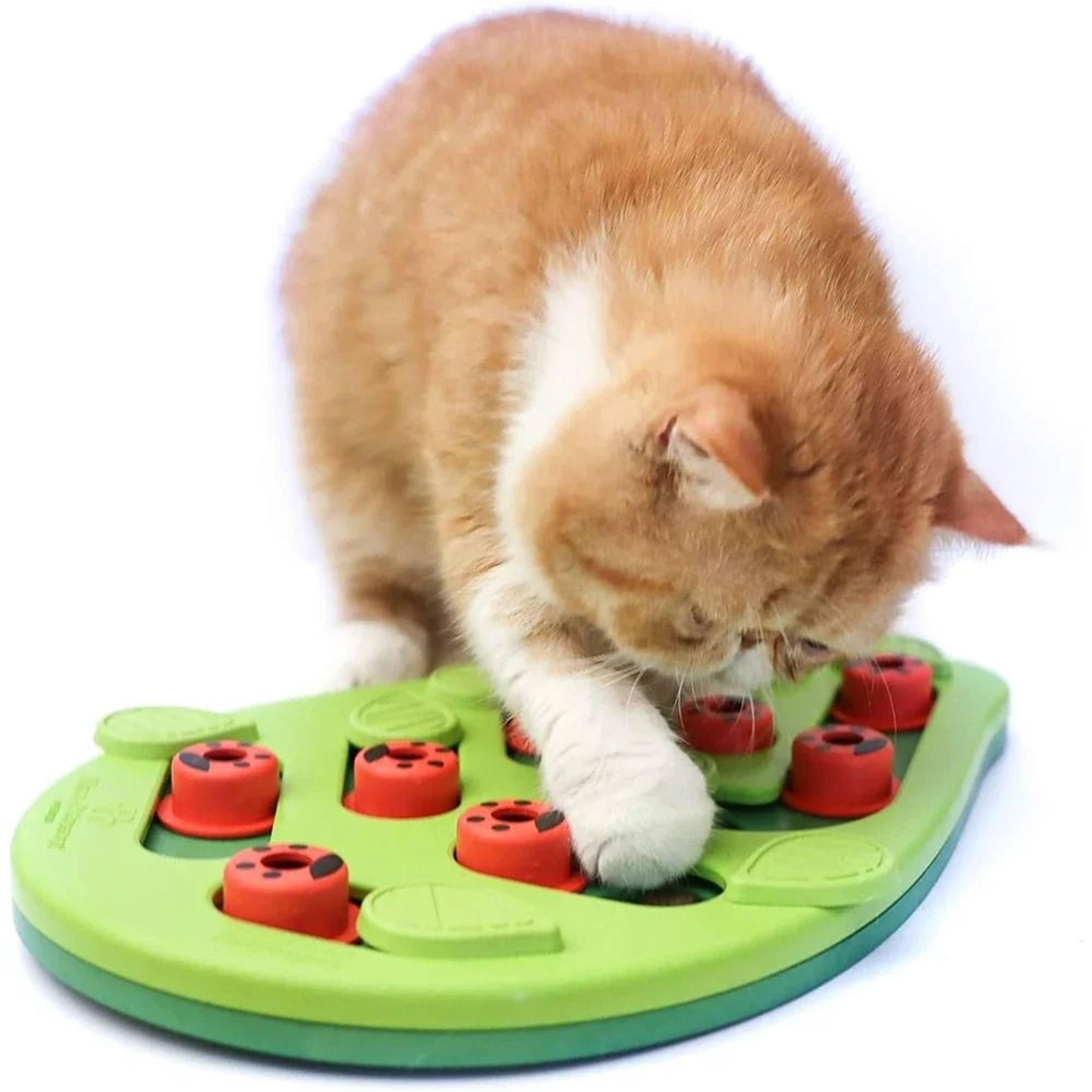 Rainy Day Puzzle  Play Interactive Cat Feeder 0