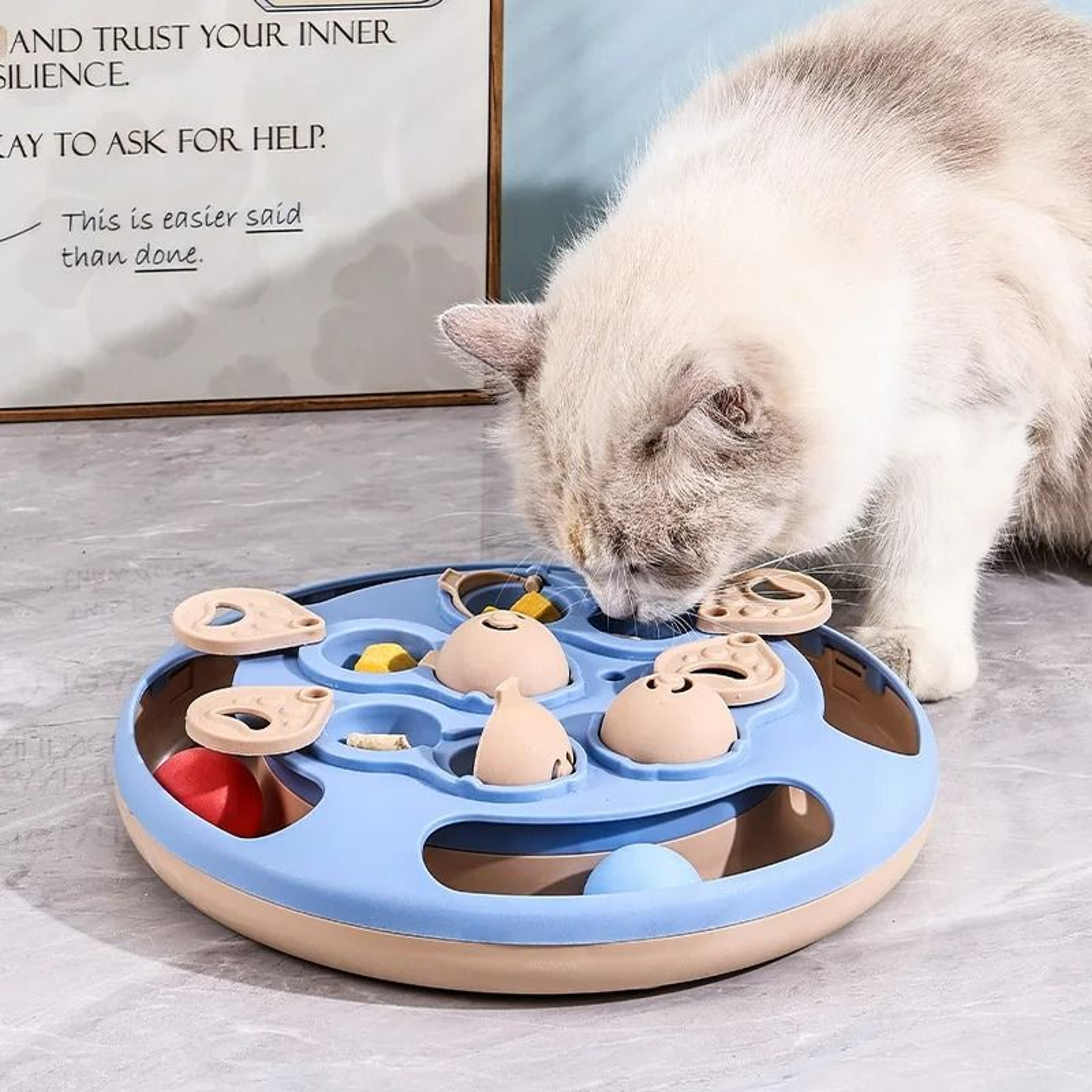 Interactive Turntable Smart Cat Puzzle  Slow Feeder 0