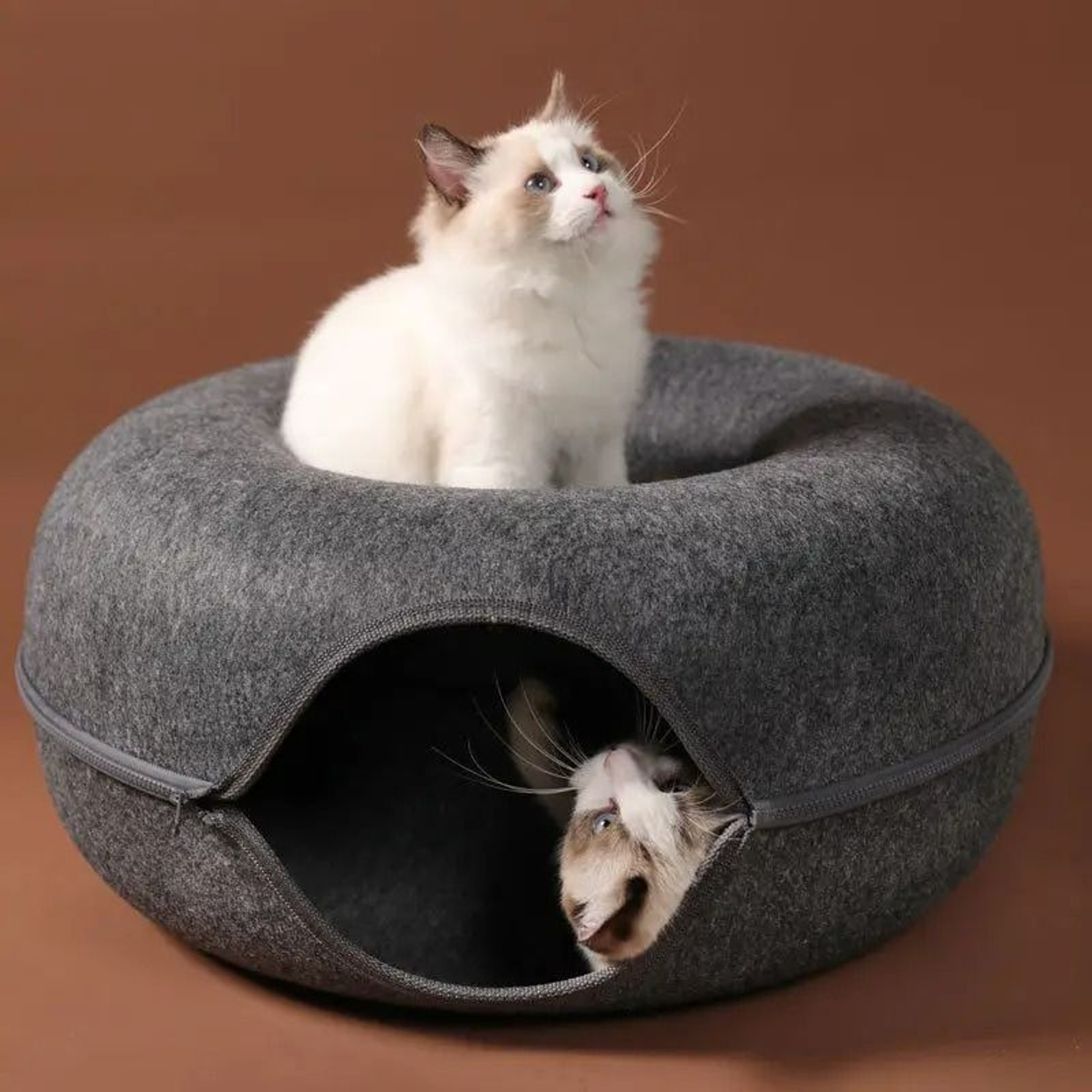 Donut Felt Cat Tunnel Bed  Cave 4